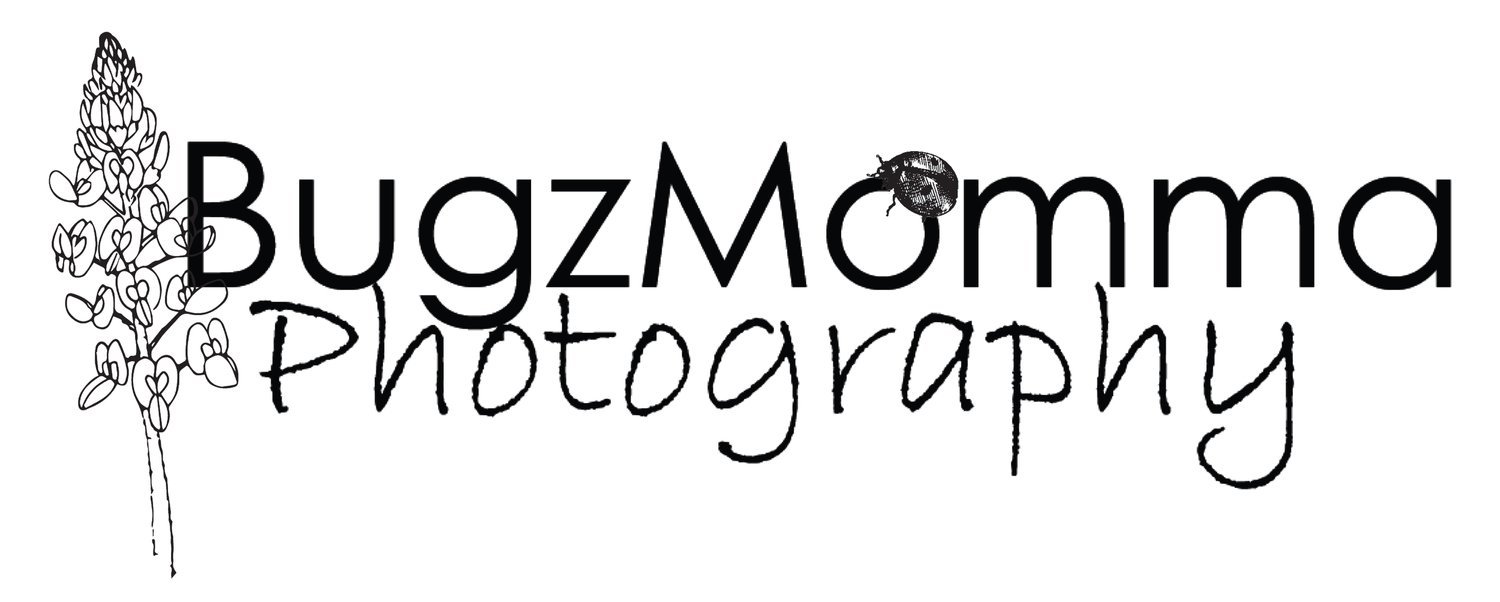BugzMomma Photography
