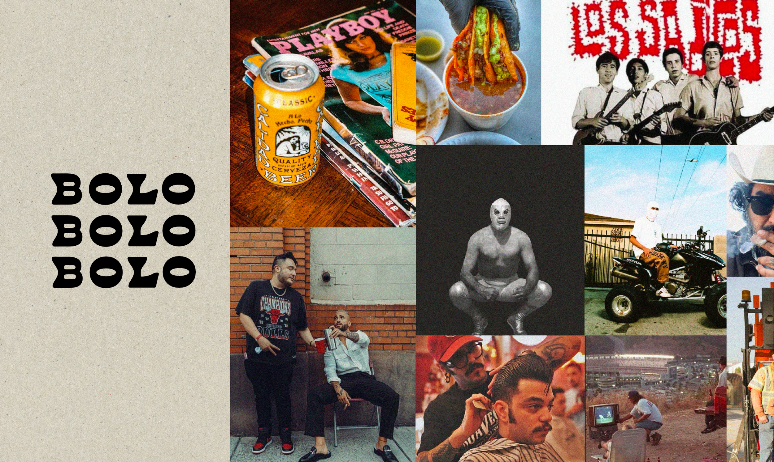 BOLO Portfolio-05.png