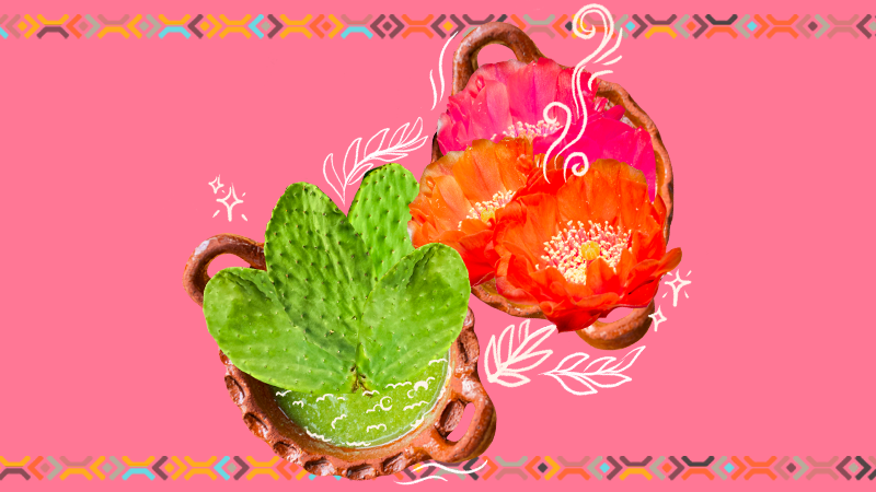 DonaMaria_Editorial_Asset3.png