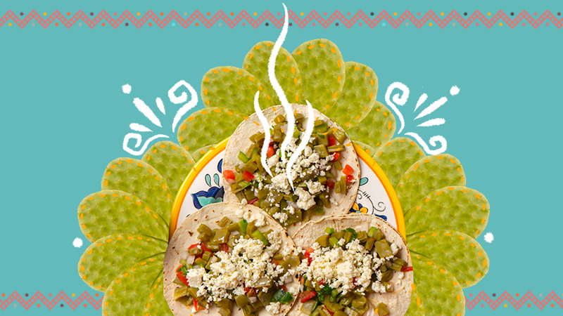 DonaMaria_Editorial_Asset4.png