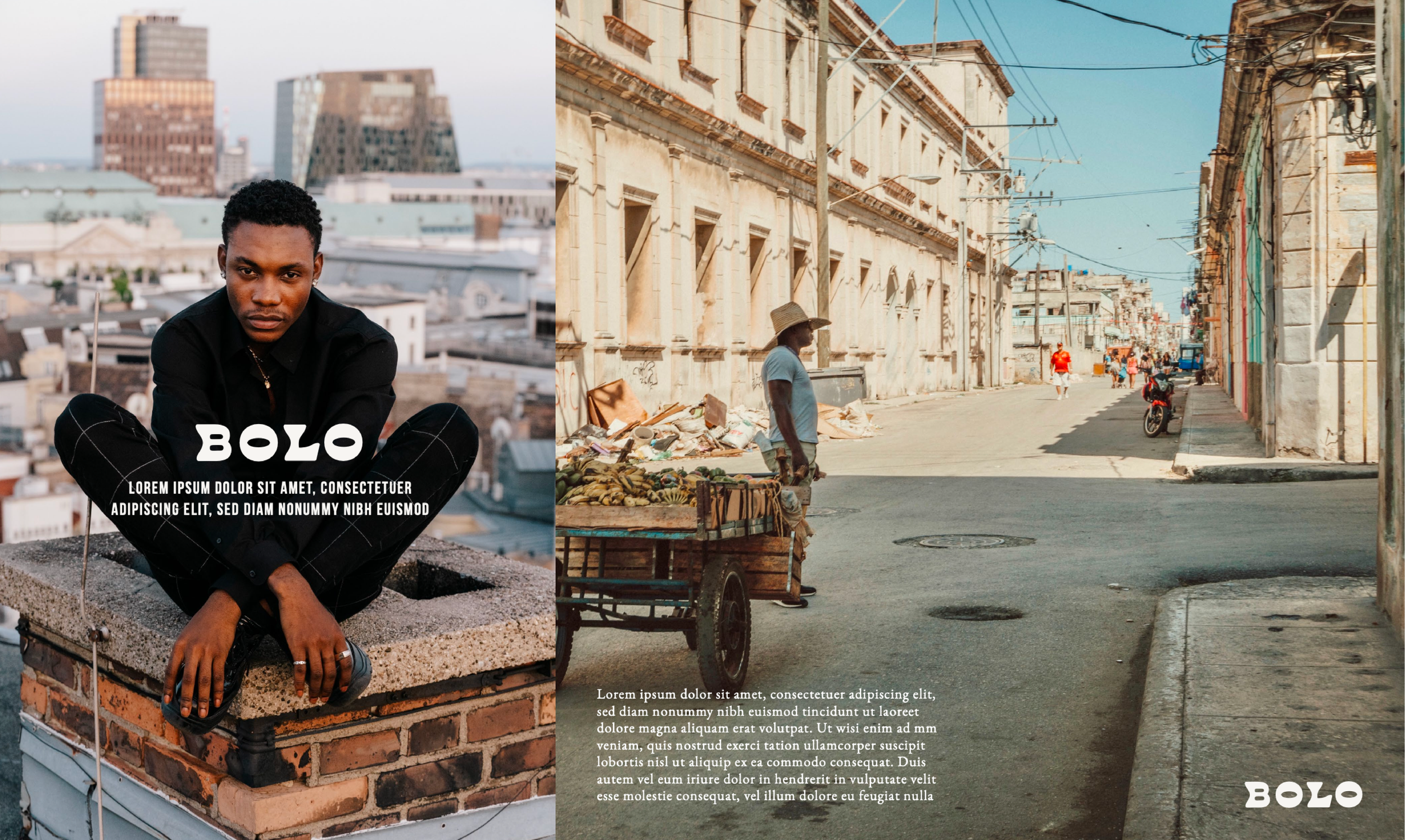 BOLO Portfolio-04.png