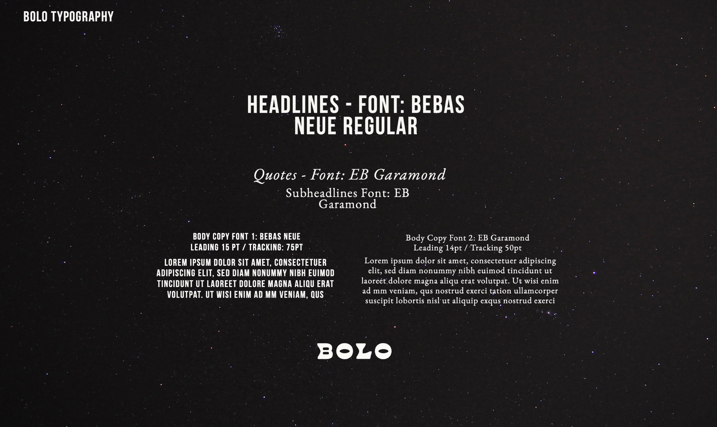 BOLO Portfolio-03.png