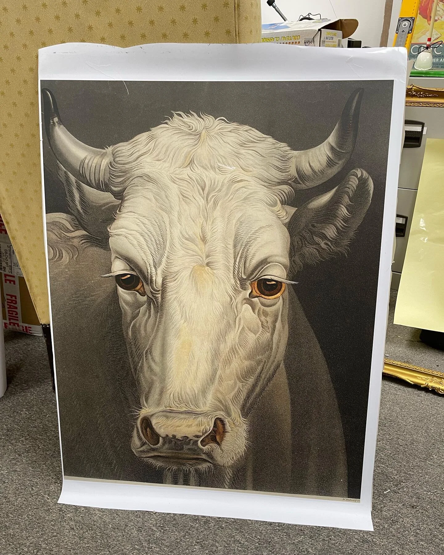 Farndon Frames Bespoke Picture Framers Chester Farndon Frames