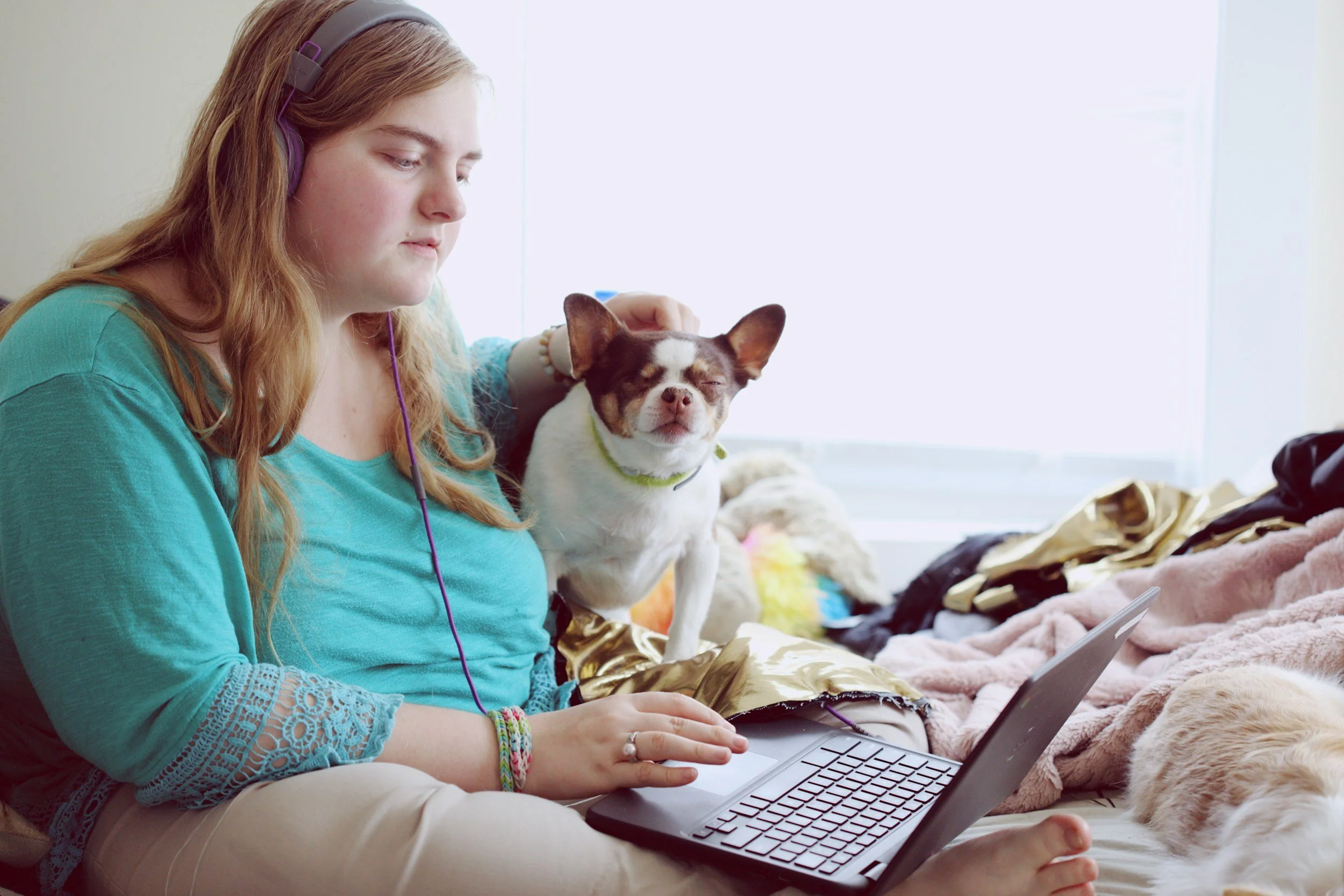 working-online-while-caring-for-pets