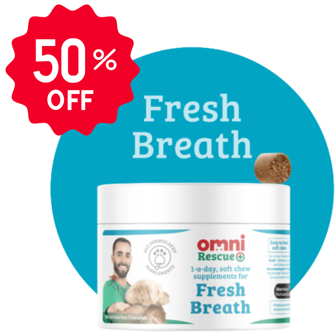 daily-dog-dental-care-chews