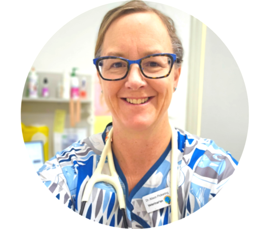 house-sit-freedom-course-creator