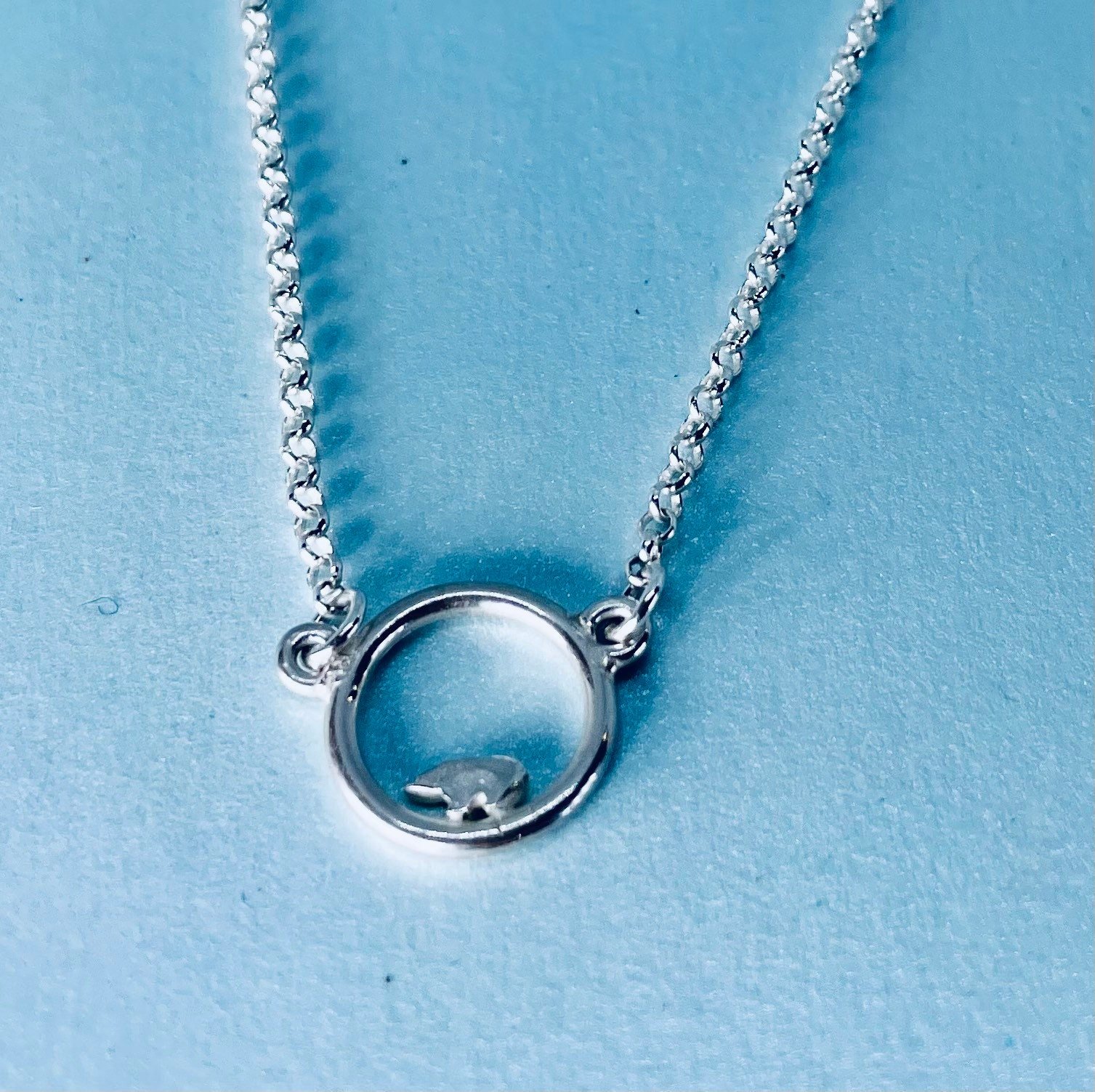 https://i.etsystatic.com/7722428/r/il/c1f2c6/4428550413/il_fullxfull.4428550413_803o.jpg