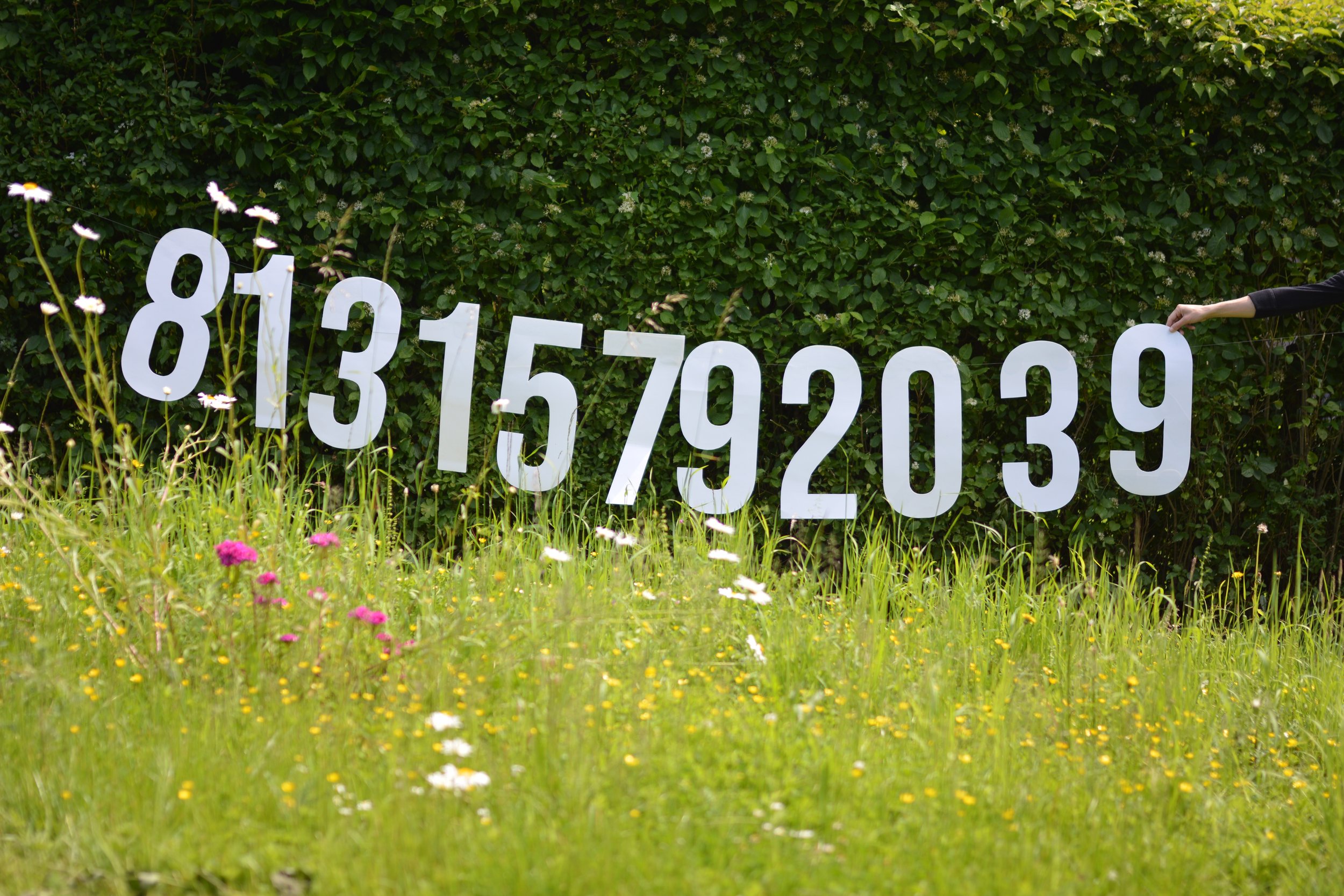 Everyone Counts Evelette