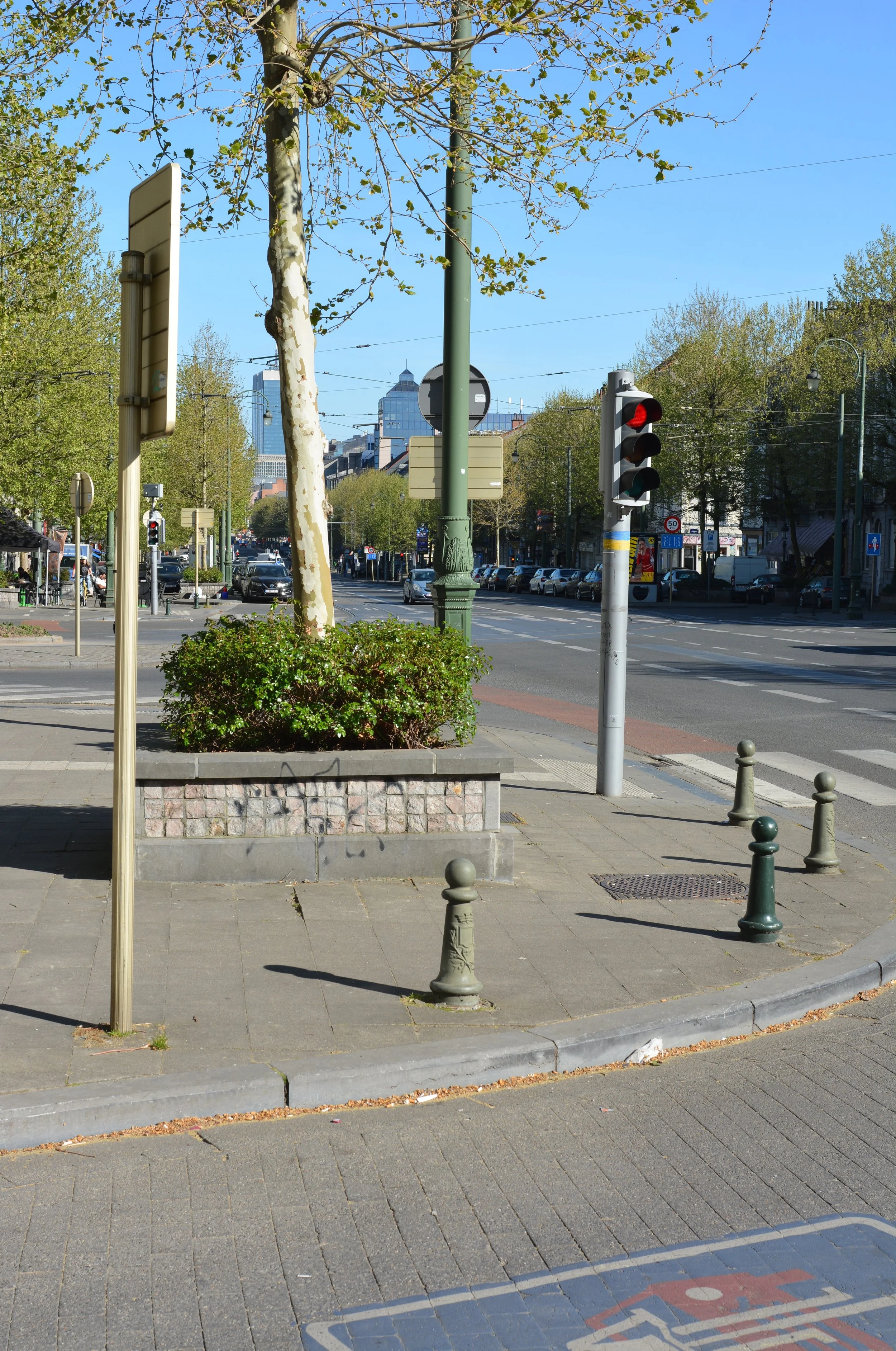 AFD_4247.JPG