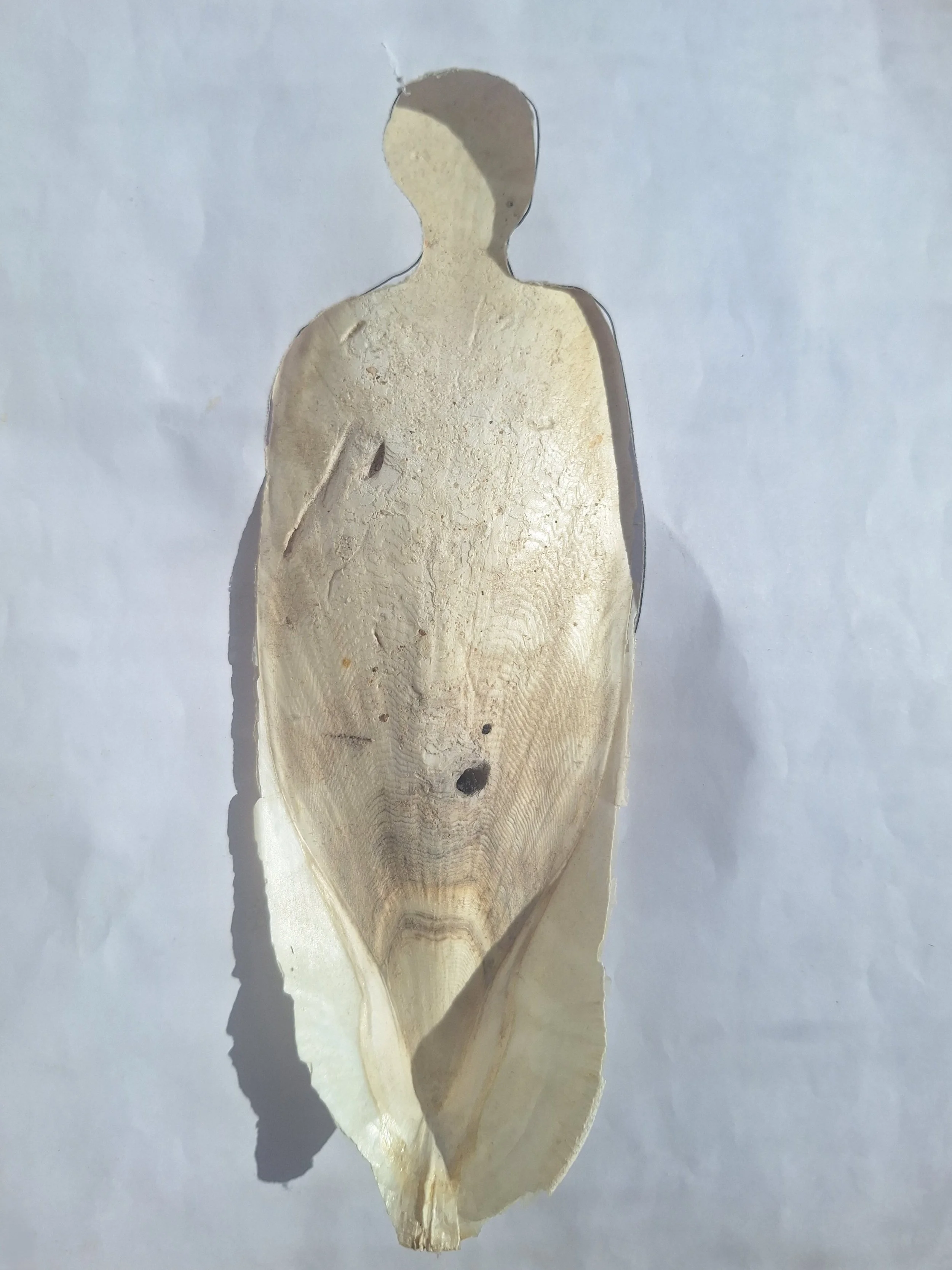 _20260326_144923 (1).jpg