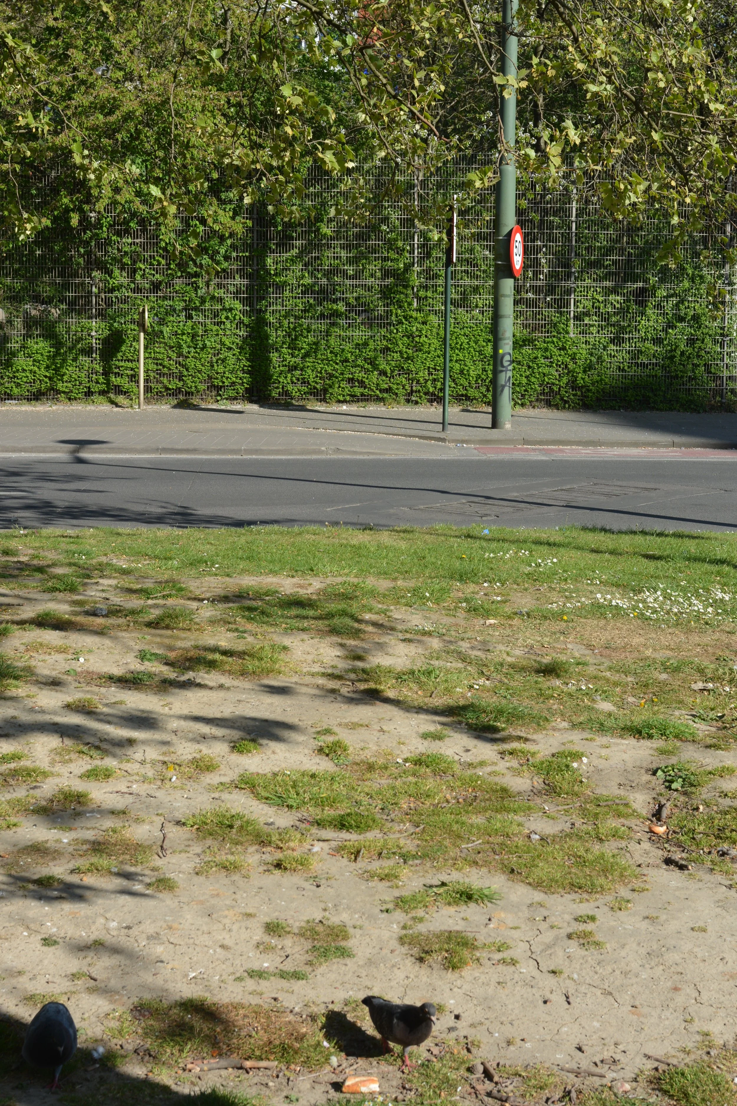 AFD_4259.JPG