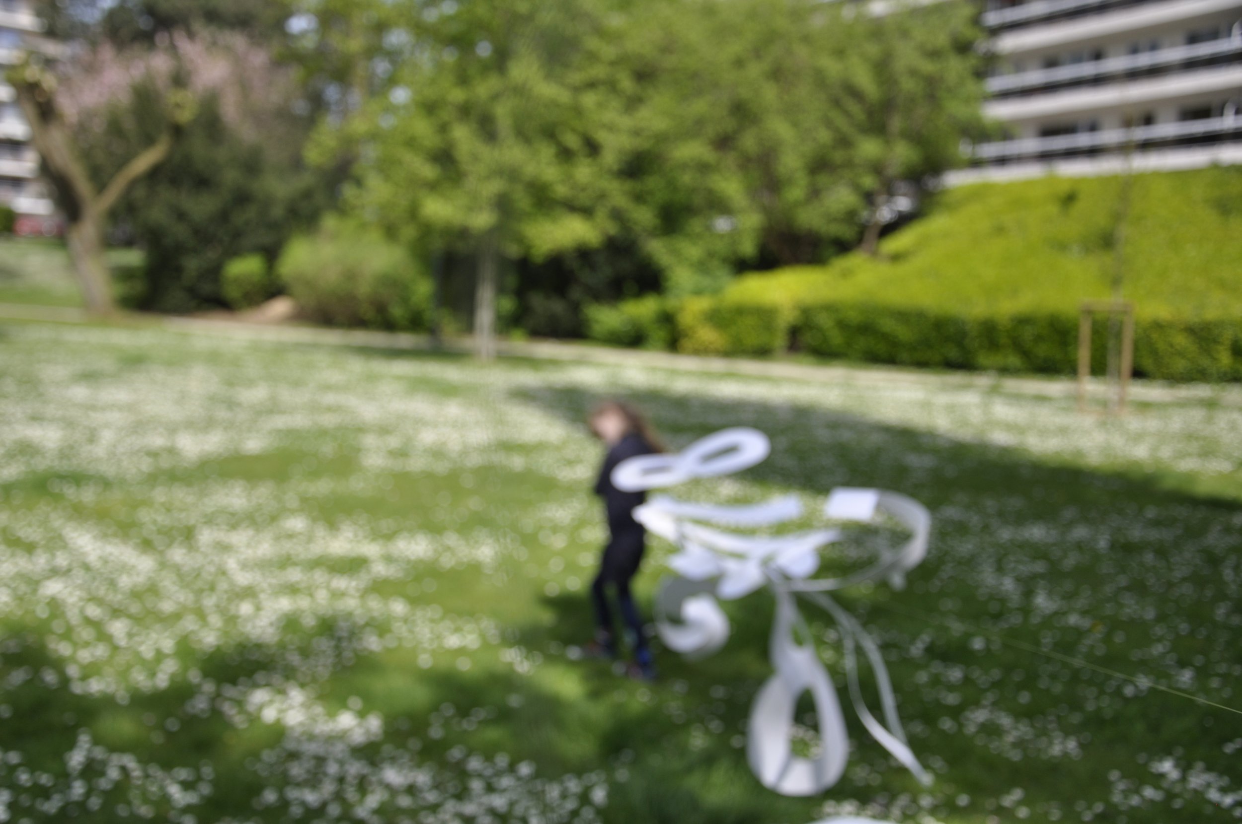 Everyone Counts (45).JPG