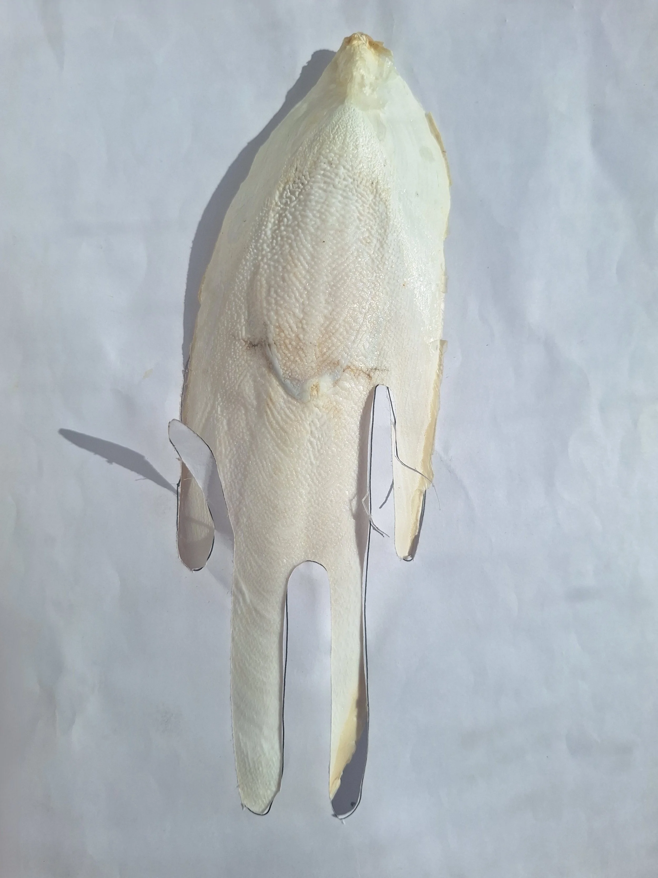 _20260326_144923 (2).jpg