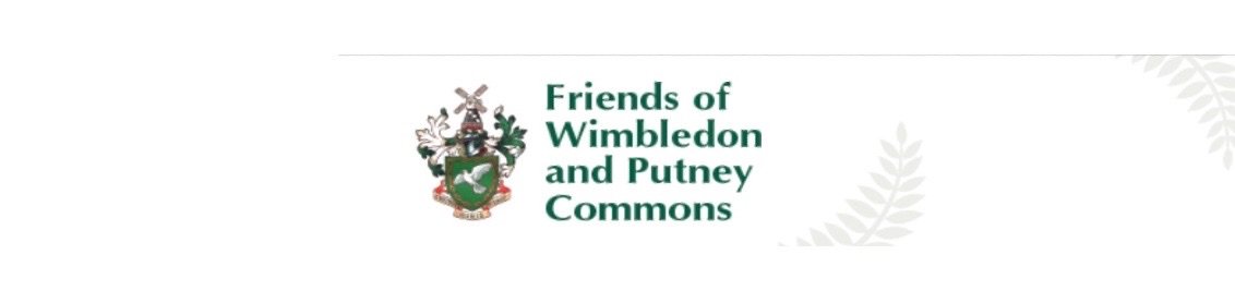 The Beautiful Buildings of Wimbledon, Putney &amp; Roehampton