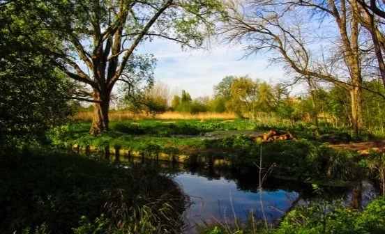 Wandle Industrial Museum - Workshops in September