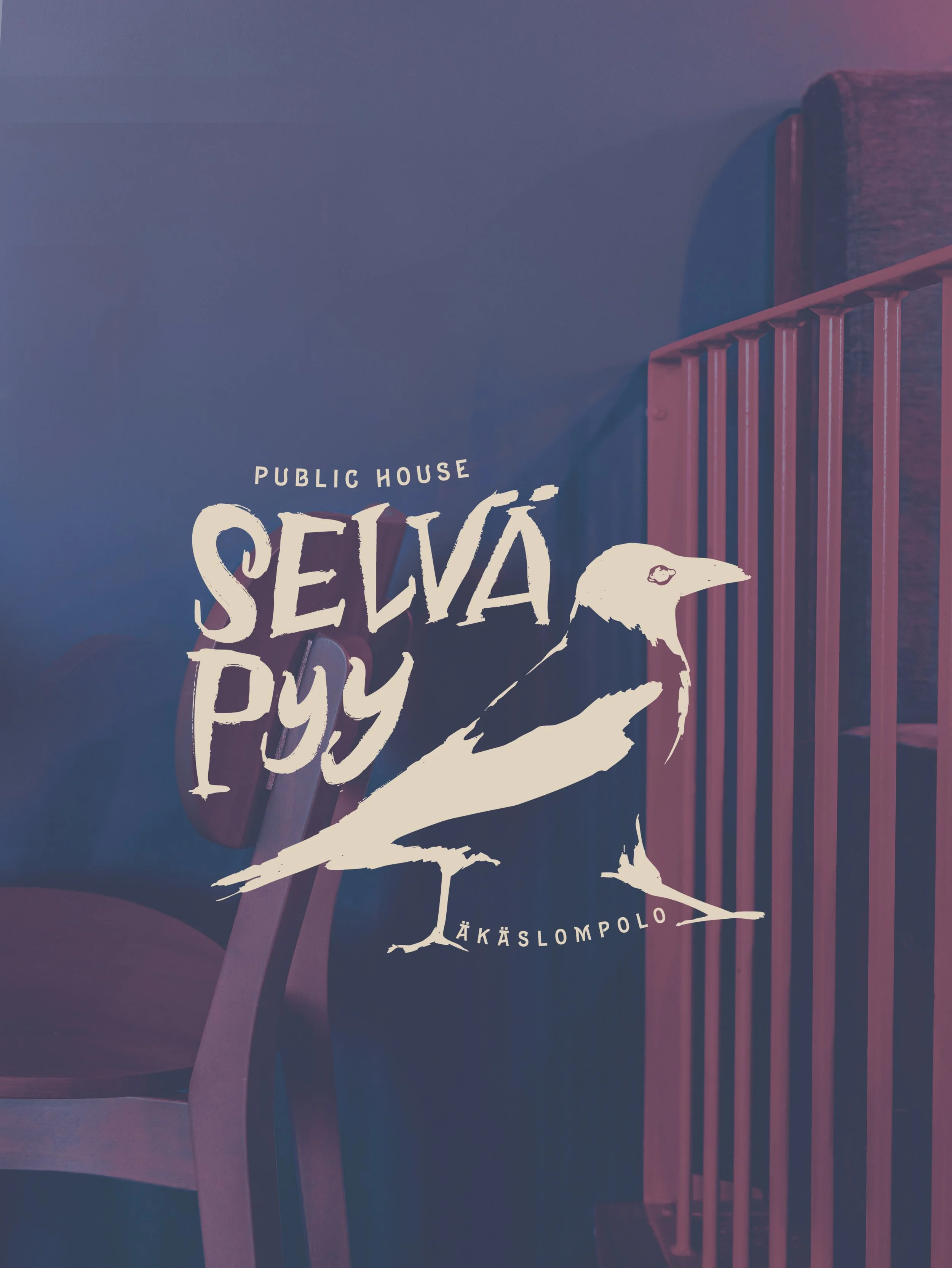 Public House Selvä Pyy