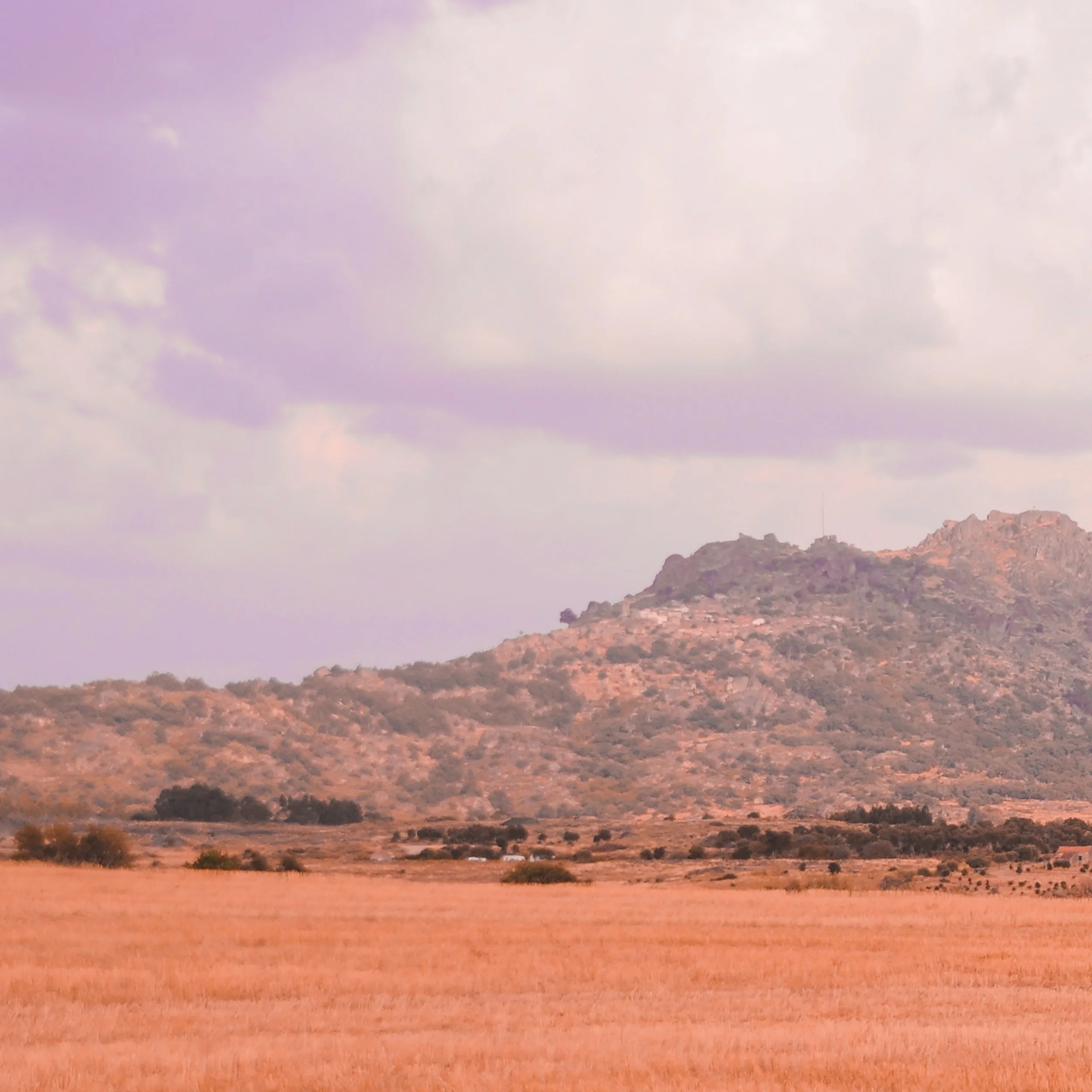 Bandua - Macelada (Re Release Out Soon)