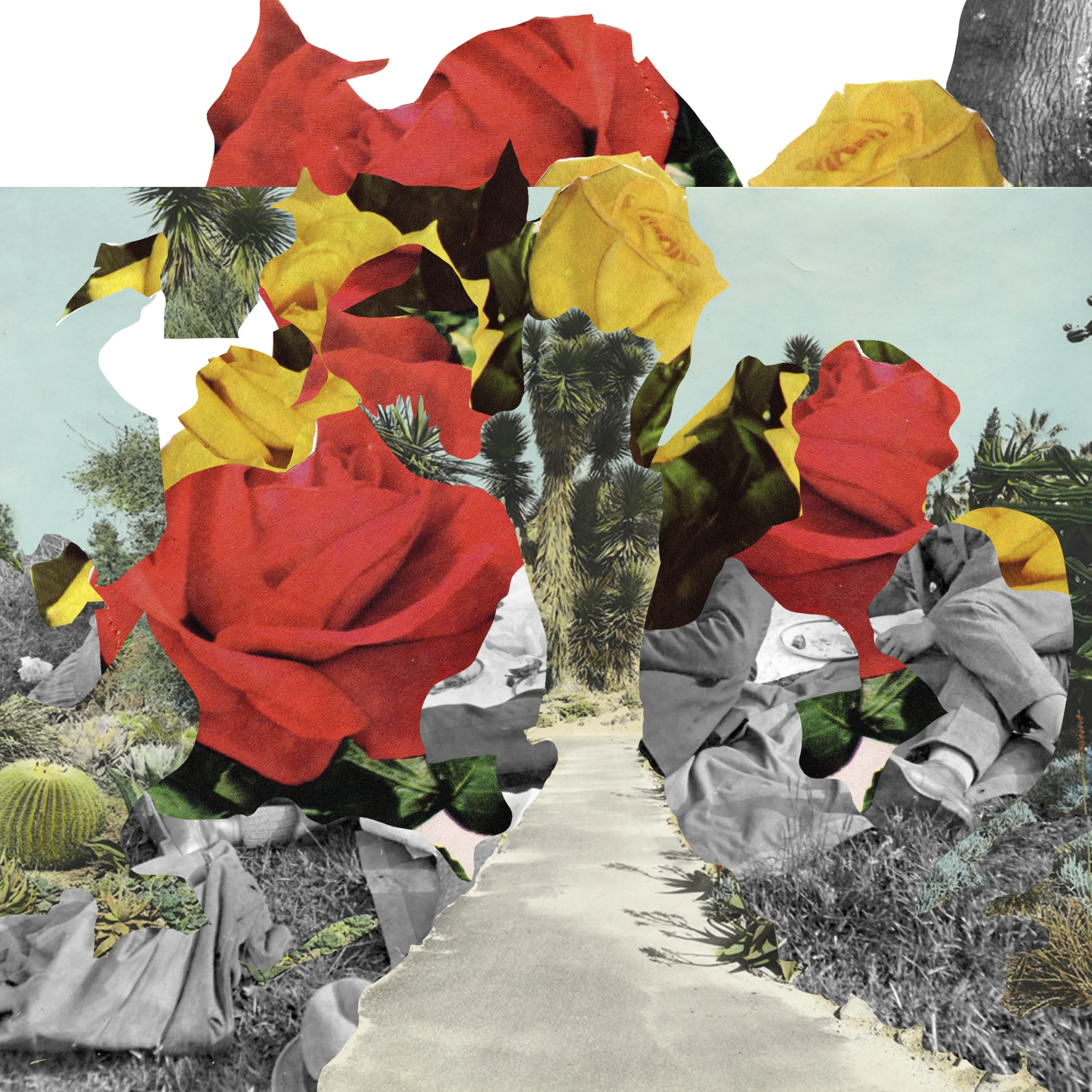 A Panda Do Sol - Outra Amizade 