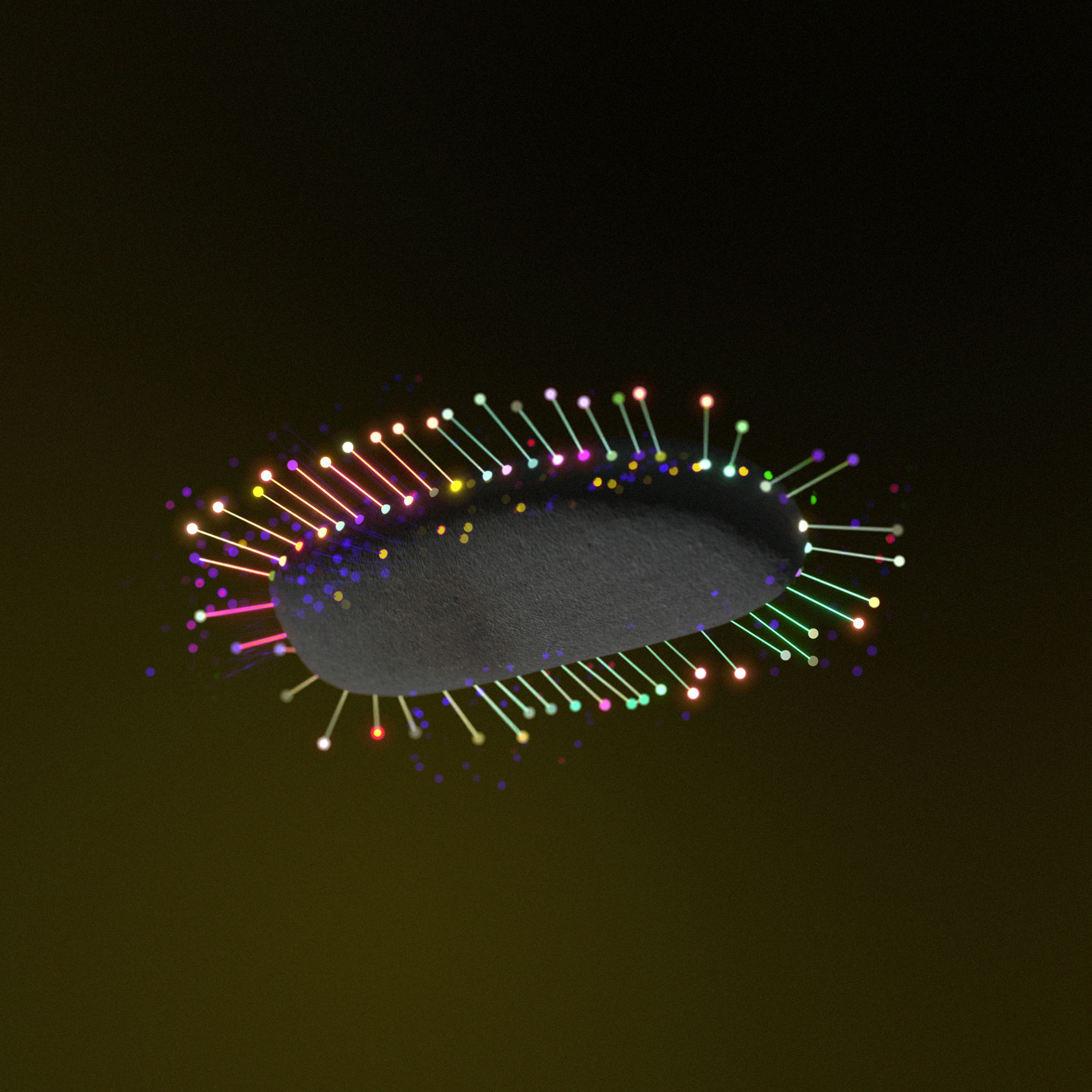 Zawa Zawa - Raven (New Single Out Soon)