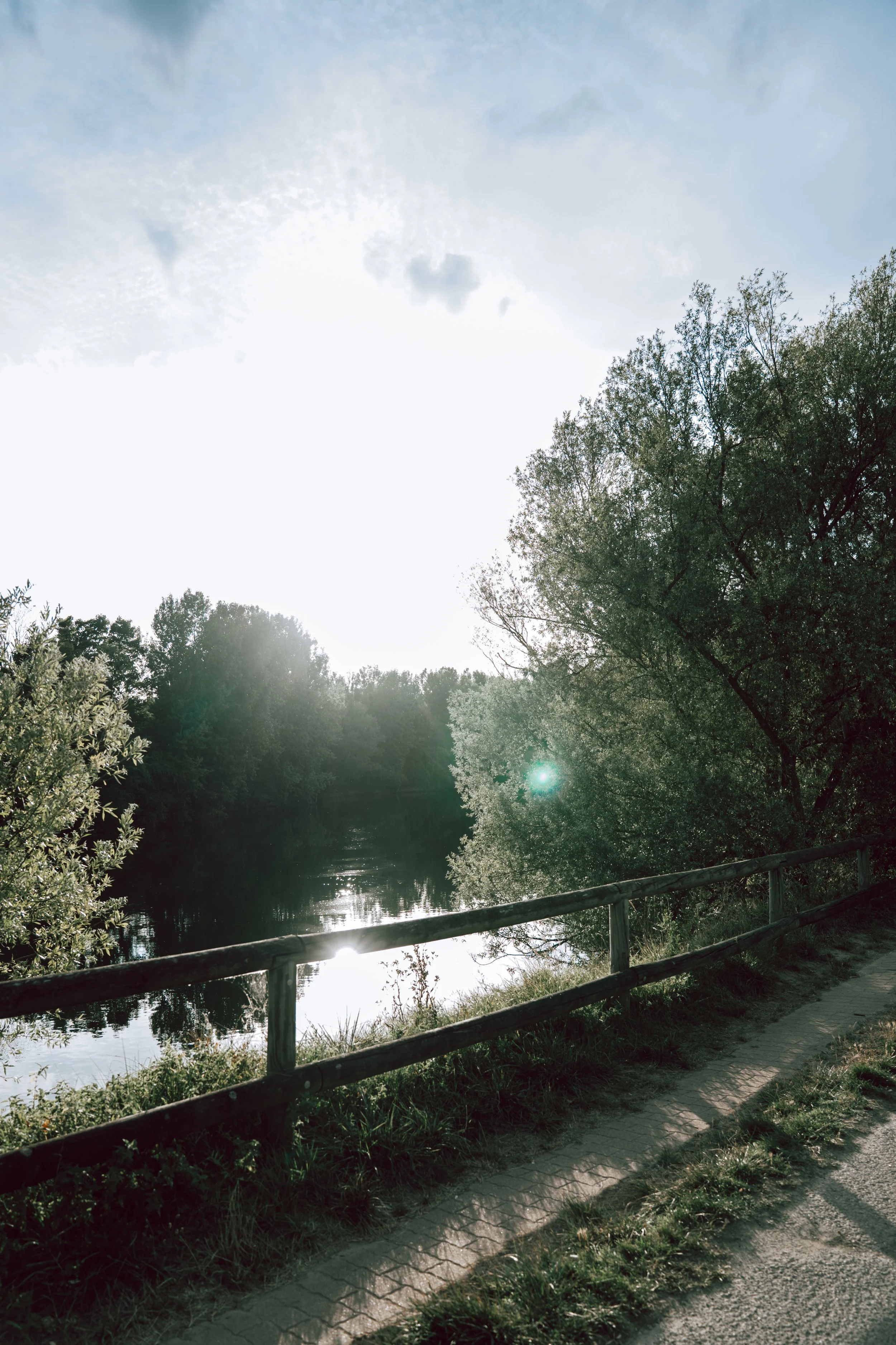 Chemin bordé d'arbres et de buissons près d'une rivière, avec un soleil éclatant dans le ciel.