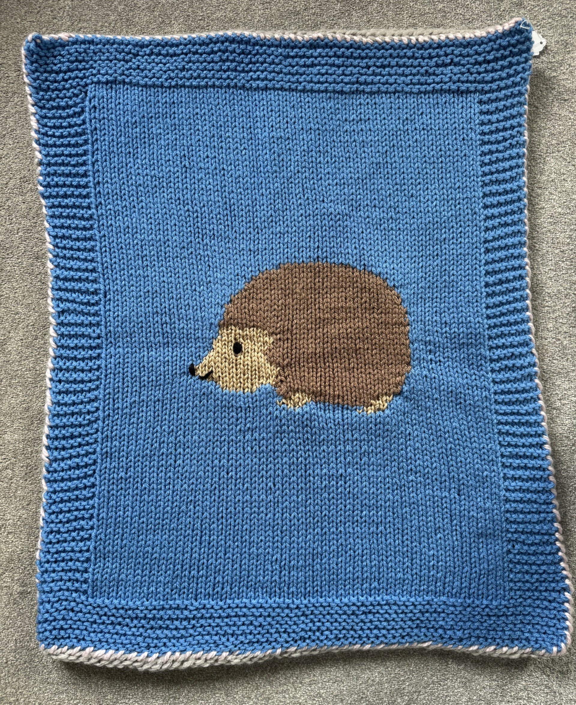 Blue Blanket.jpg