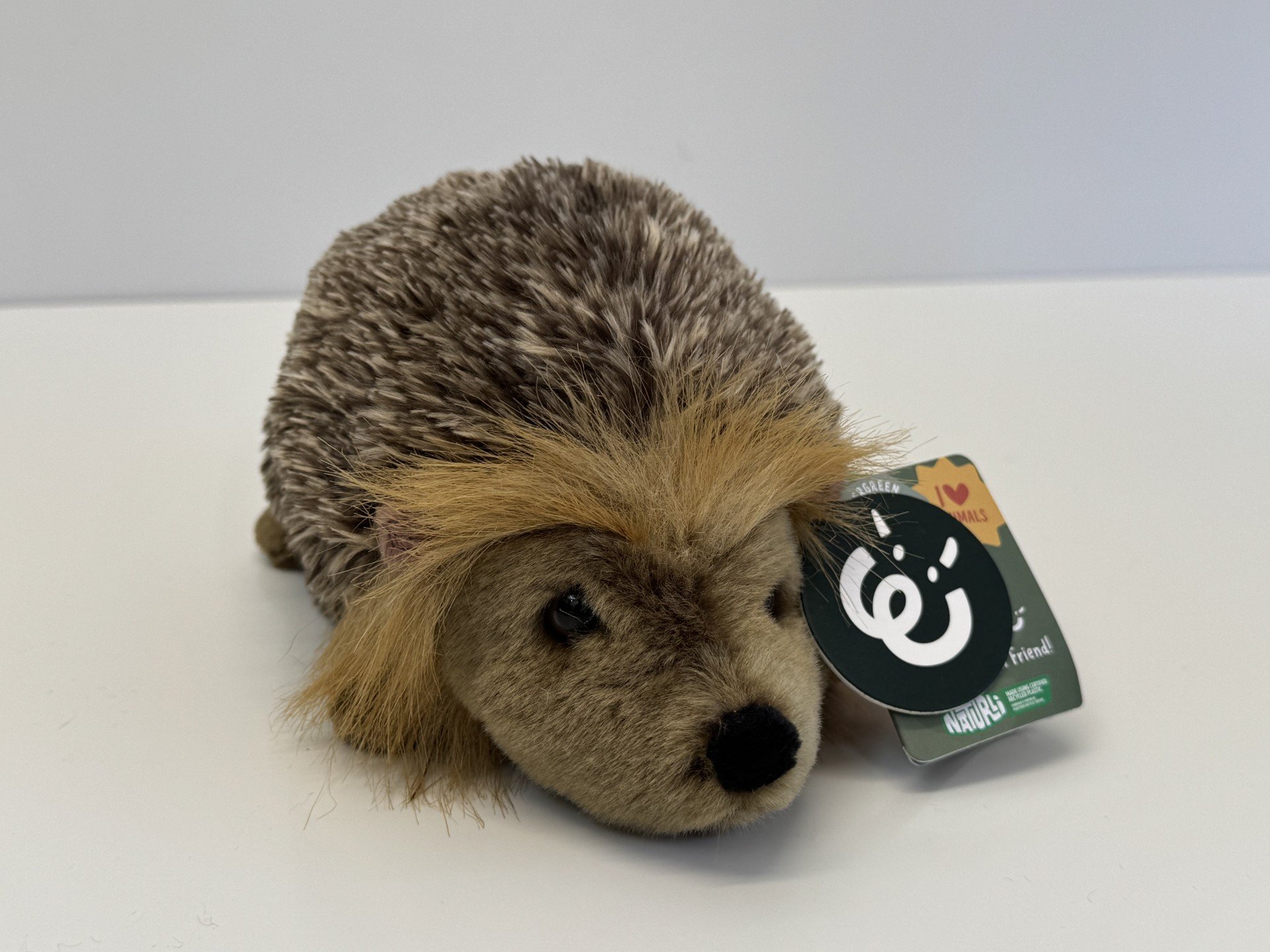 Bertie - Eco-Friendly Hedgehog teddy