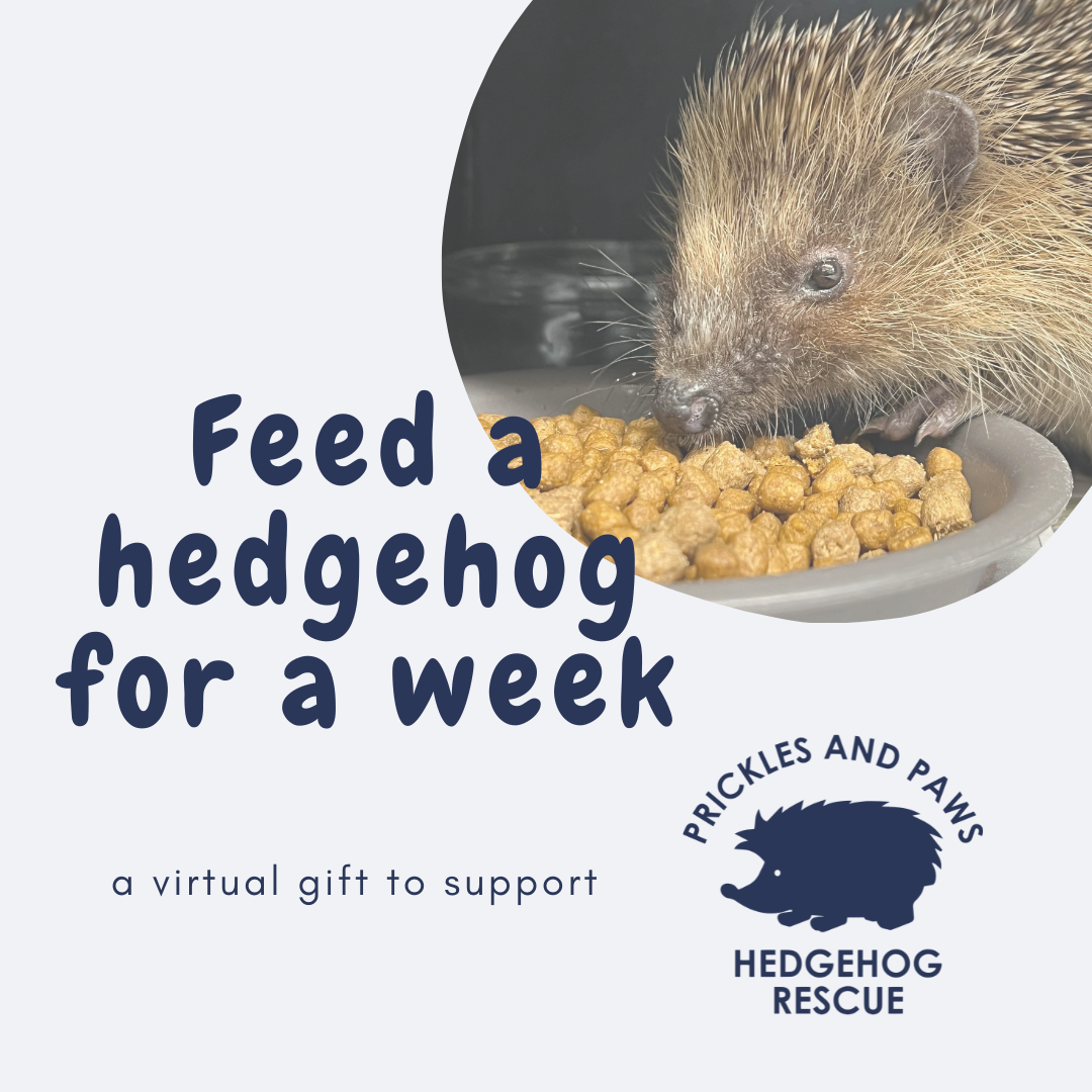 Virtual Gift. Charity Christmas gift ideas