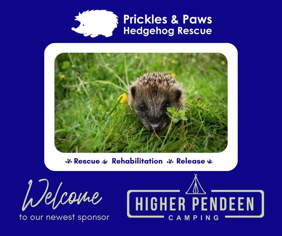 Welcome to our newest business sponsor @higherpendeencamping 🫶

Higher Pendeen Camping are an award-winning, small family-run, off-grid and ecologically considerate back-to-basics, friendly campsite on the North coast of Cornwall. Built on their sus