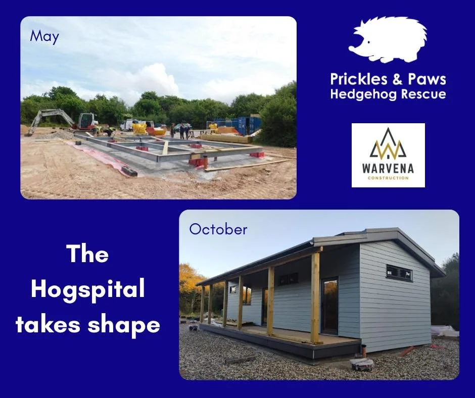The Hogspital moves into its next phase! 🏗️✨

From bare foundations in May to walls and windows by October, our new Hogspital is really taking shape! Thanks to the amazing team at warvena_construction and all our supporters, donors and sponsors, we&