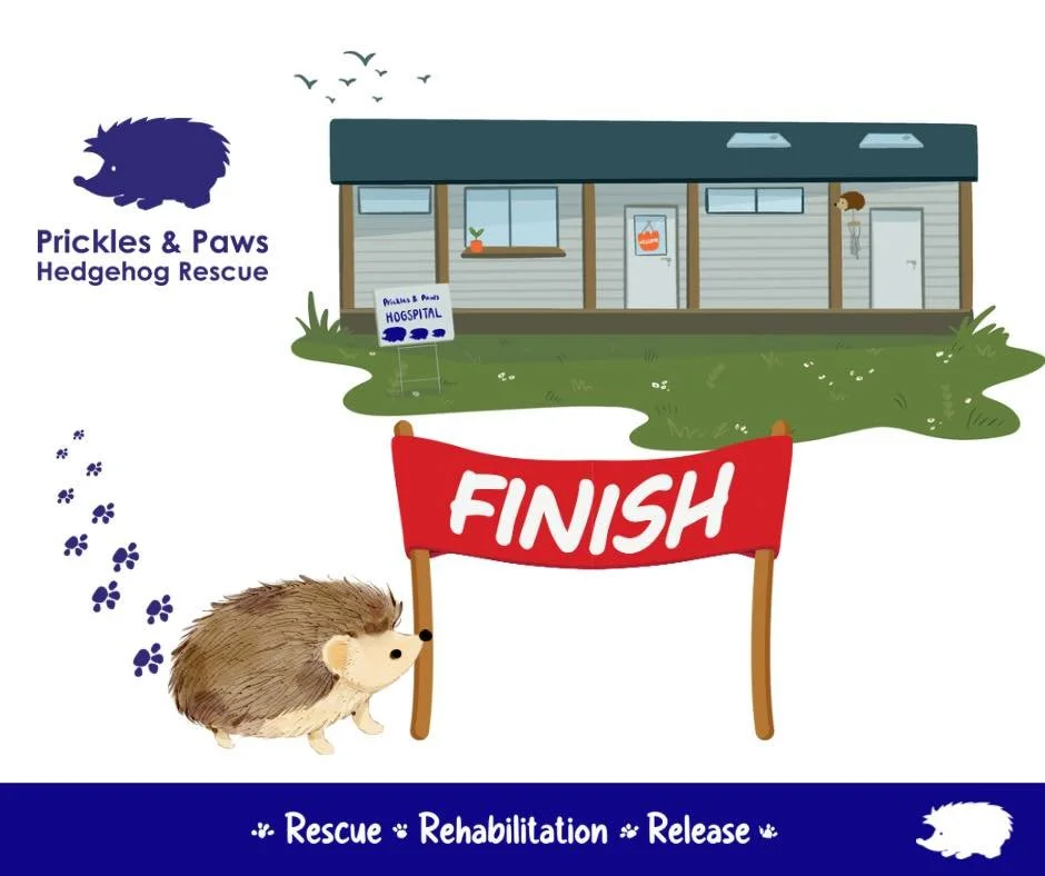 🦔💚 We&rsquo;re wildly close &ndash; and your donation can go TWICE as far! 💚🦔

We&rsquo;re building Cornwall&rsquo;s first dedicated Hogspital for injured &amp; orphaned hedgehogs &mdash; and we&rsquo;re so close to finishing! 🏗️✨

Thanks to ama