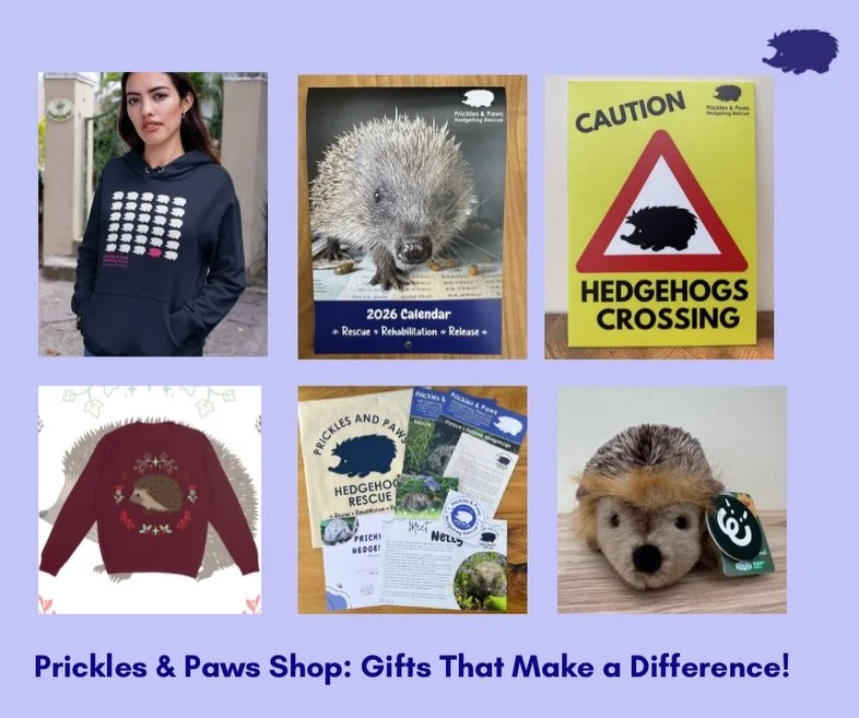 🦔✨ Shop with Purpose! ✨🦔
Every purchase from the Prickles &amp; Paws Hog Shop helps rescue, rehabilitate &amp; release hedgehogs in need. 💚

From adorable merch to thoughtful virtual gifts, your support truly makes a difference.

🛒 www.pricklesan