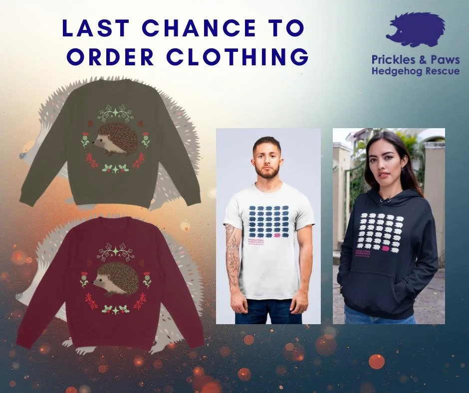 🎉 LAST CHANCE FOR CLOTHING ORDERS

Clothing orders close at noon on Thursday 27th November, and clothing won&rsquo;t be available again until Spring.

🌟 Don&rsquo;t miss out on our limited-edition Christmas jumper design &mdash; once orders close, 