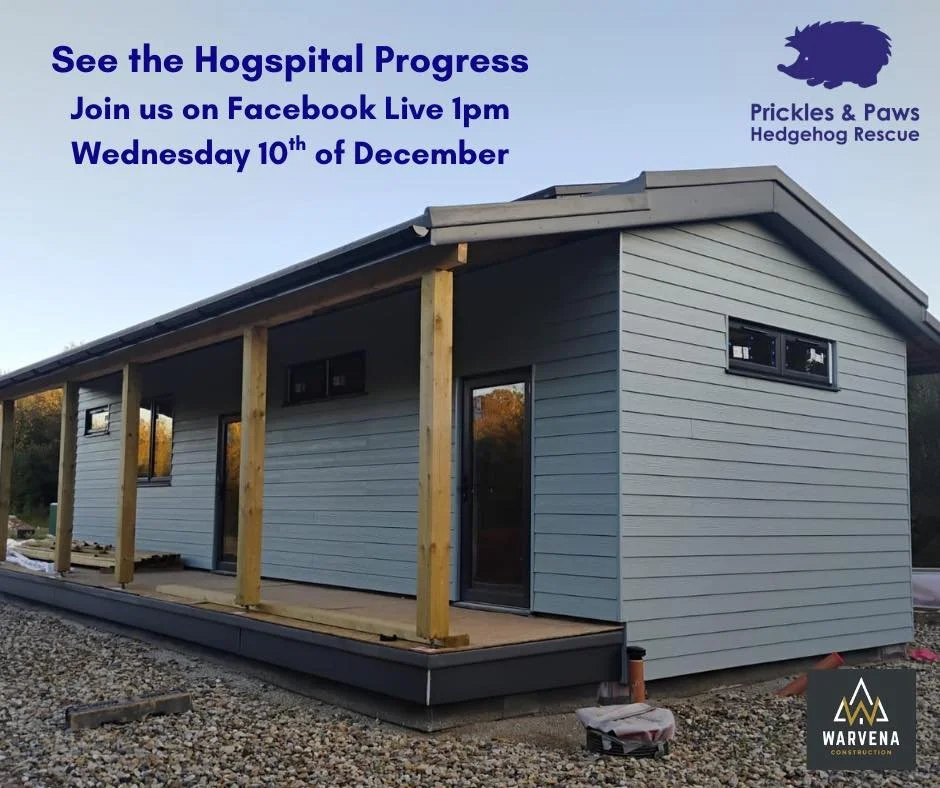 Hogspital Progress Update! 💚🦔🐾
We&rsquo;re so excited to share how far our new Hogspital has come &mdash; and we&rsquo;d love for you to join us for a closer look!

📅 Wednesday 10th December
⏰ 1pm
📍 Facebook Live

Tune in to see the latest progr