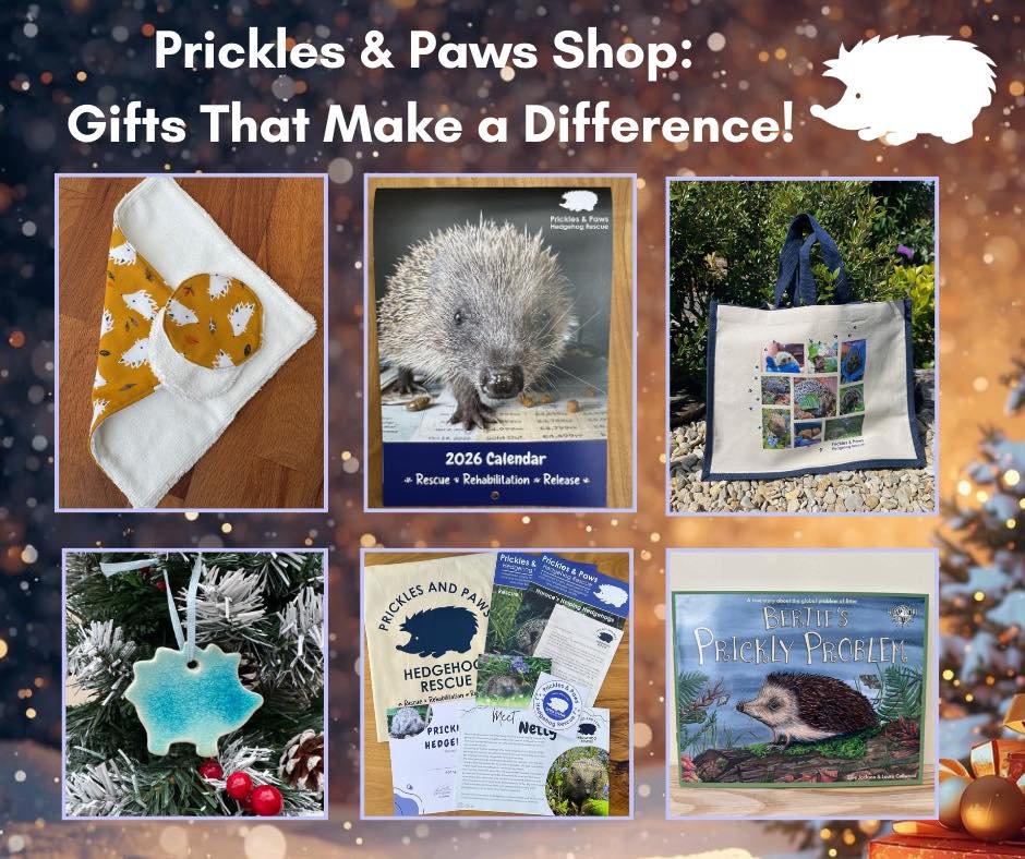 🎁🦔 Prickles &amp; Paws Shop: Gifts That Make a Difference! 🦔🎁

Looking for meaningful gifts this season? Every purchase from our Prickles &amp; Paws shop helps support the rescue, rehabilitation, and release of hedgehogs in need &mdash; making yo