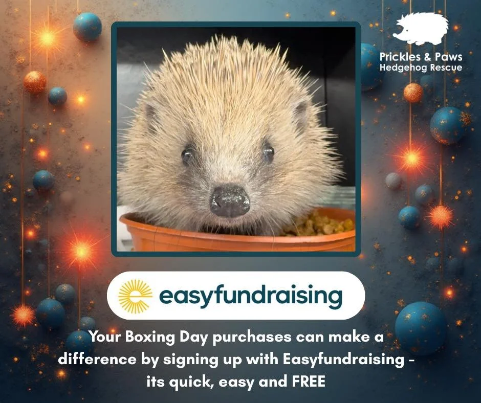 🦔💚 Boxing Day made even better! 💚🦔

Did you know you can support Prickles &amp; Paws for FREE while doing your sales shopping? With easyfundraising, over 4,400 shops and sites will donate to us when you shop &mdash; at no extra cost to you!

Sinc