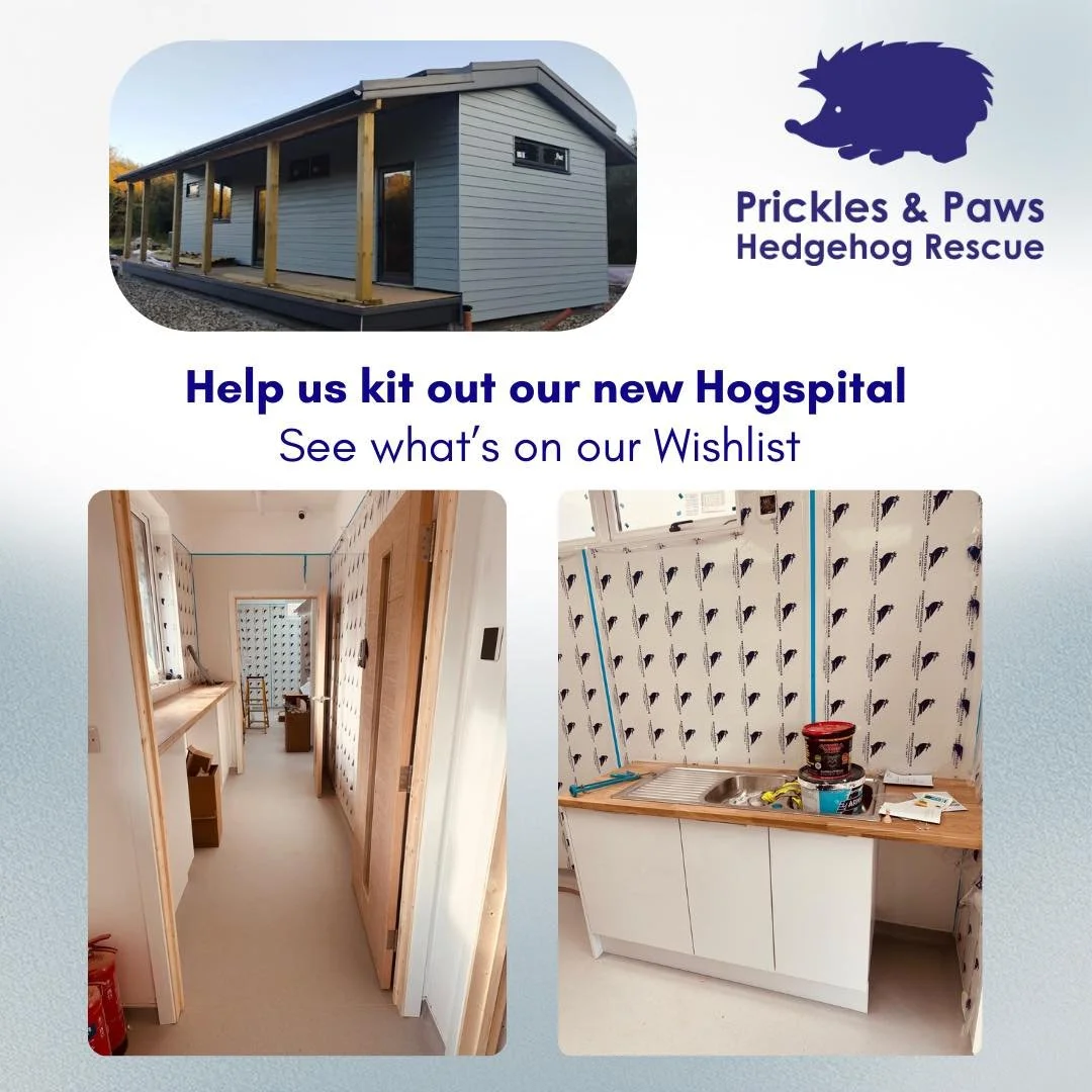 🦔 Help us kit out our new Hogspital! 🦔

With our big move happening in the next few weeks, there are lots of items we&rsquo;ll need to get everything ready for the hogs. We&rsquo;ve put together a wishlist to show what&rsquo;s needed and make it ea