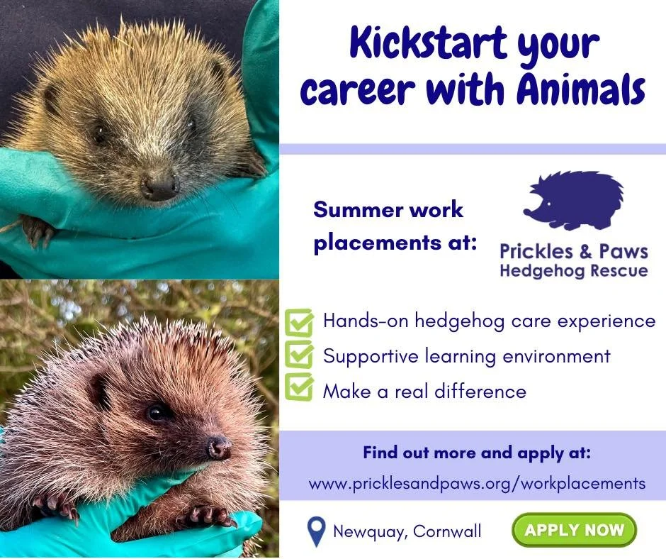 Summer Work Placements Available! 💚🦔🐾

Want hands-on wildlife experience? We have July and August work placements available. Perfect for students interested in veterinary, animal care or conservation.

📅 Placements available from 1&ndash;5 weeks

