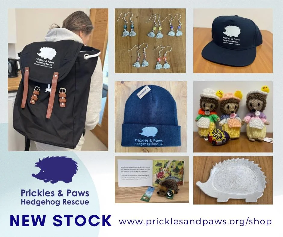 🎉🌟 New goodies just dropped in the Prickles &amp; Paws shop! 🌟🦔

From adorable handmade hedgehog gifts and eco‑friendly accessories to unique treats that give back to our prickly friends, there&rsquo;s something for everyone &mdash; and every hed