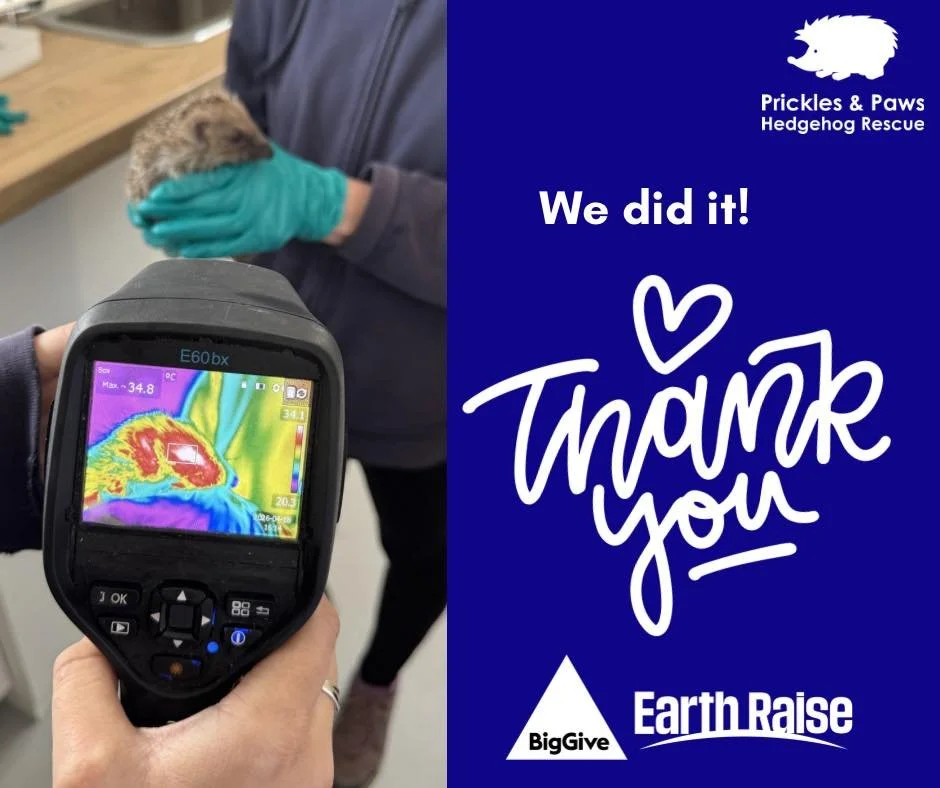 We did it&hellip; and then some 🙌🦔🐾

Thanks to your incredible support, we&rsquo;ve hit 180% of our crowdfunder target. That&rsquo;s not just a milestone&mdash;it&rsquo;s a huge vote of confidence in the work we do.

To everyone who backed, shared