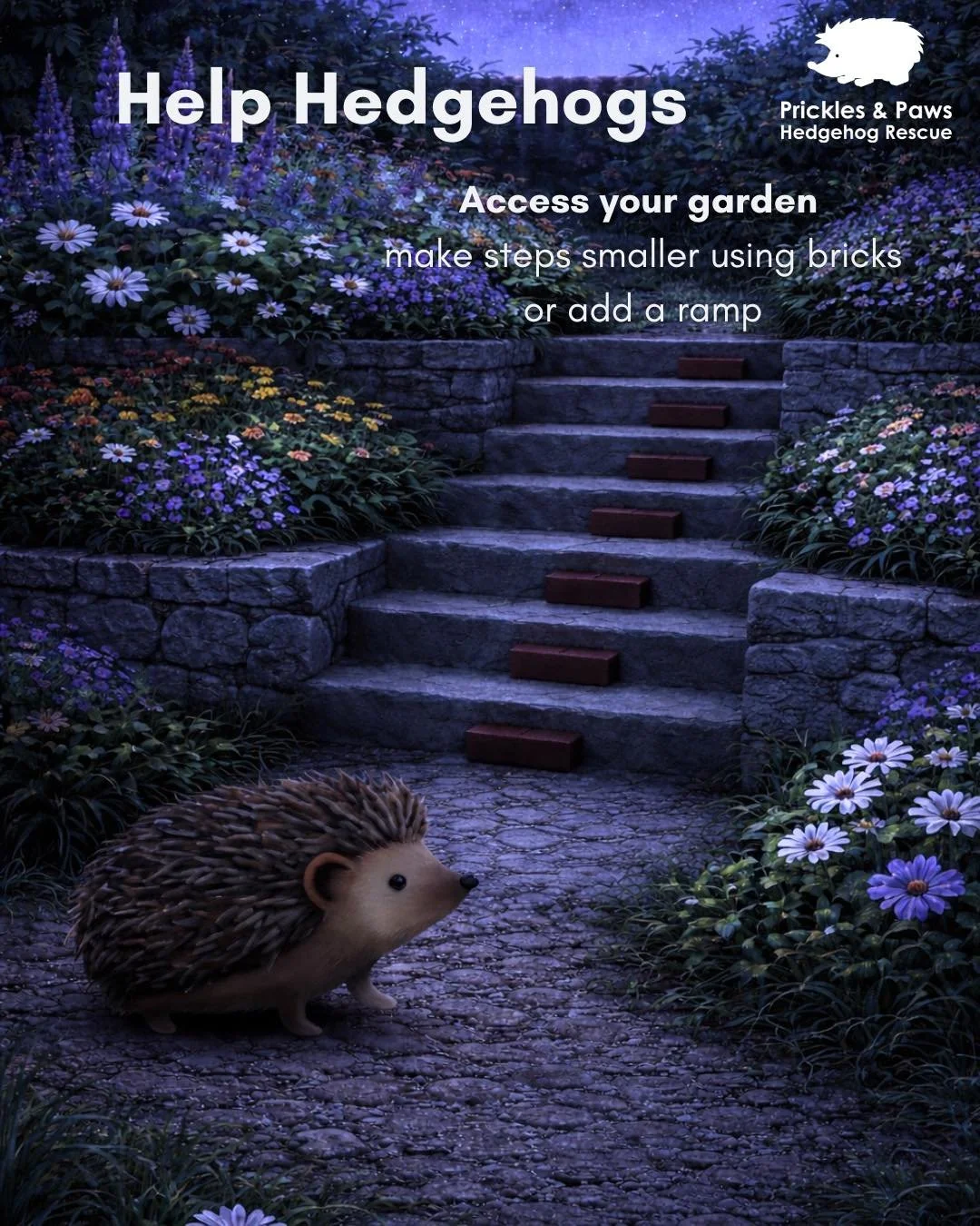 This year alone, we&rsquo;ve already admitted 37 hedgehog entrapment cases &mdash; from drains and rat traps to enclosed gardens. 

Hedgehogs can roam up to a mile every night searching for food and mates, but tiered gardens and steps can become dang