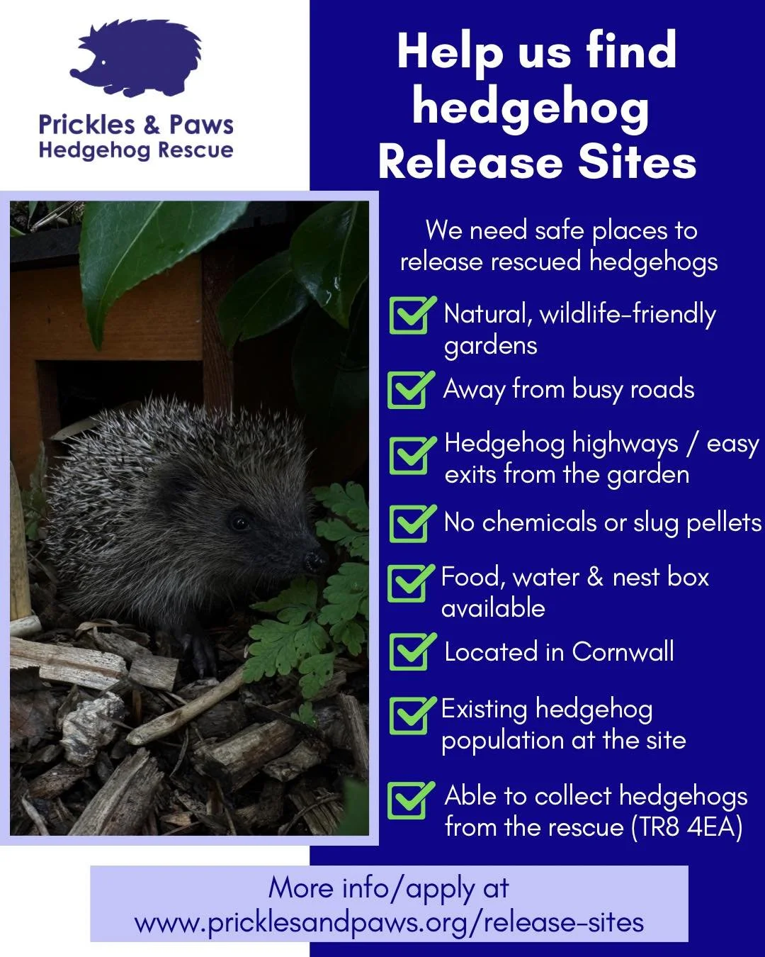 RELEASE SITES NEEDED ACROSS CORNWALL 🦔🐾

As admissions continue to rise and patterns of where hedgehogs are coming from change, we need to strengthen our network of approved release sites across Cornwall.

Wherever possible, rehabilitated hedgehogs