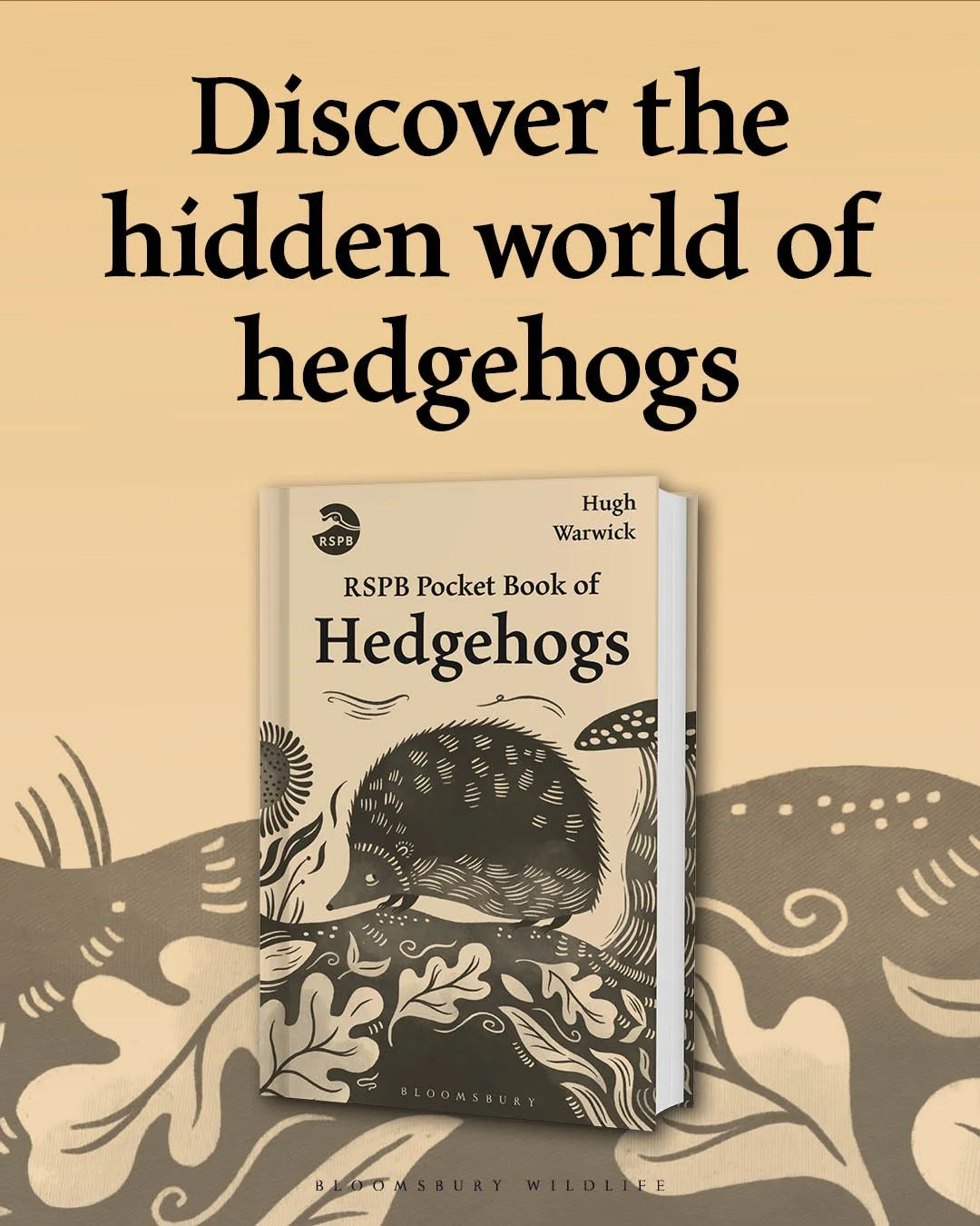 Competition closed:&nbsp;‘The RSPB Pocket Book of Hedgehogs’!