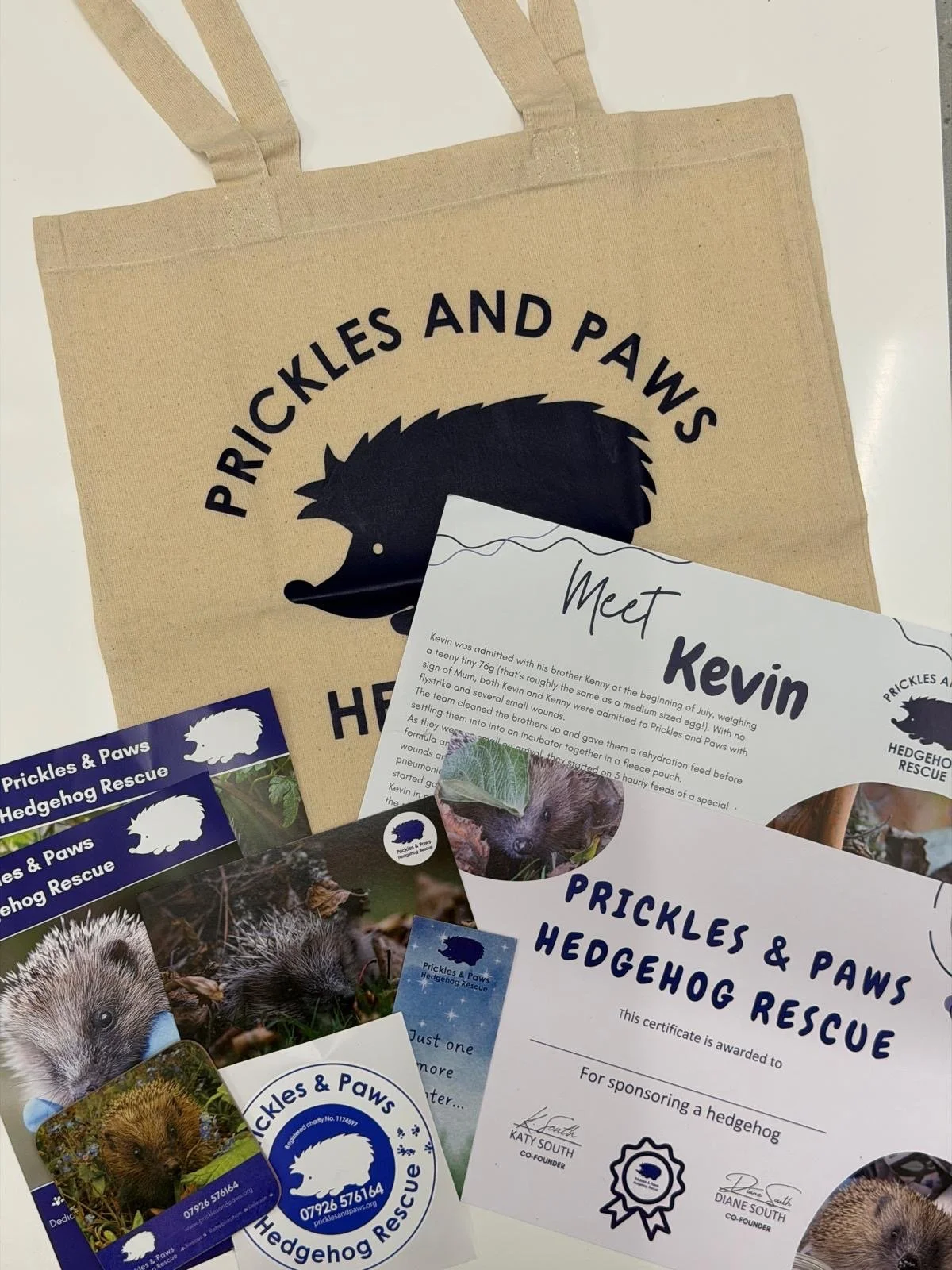 Sponsor a hedgehog.jpg