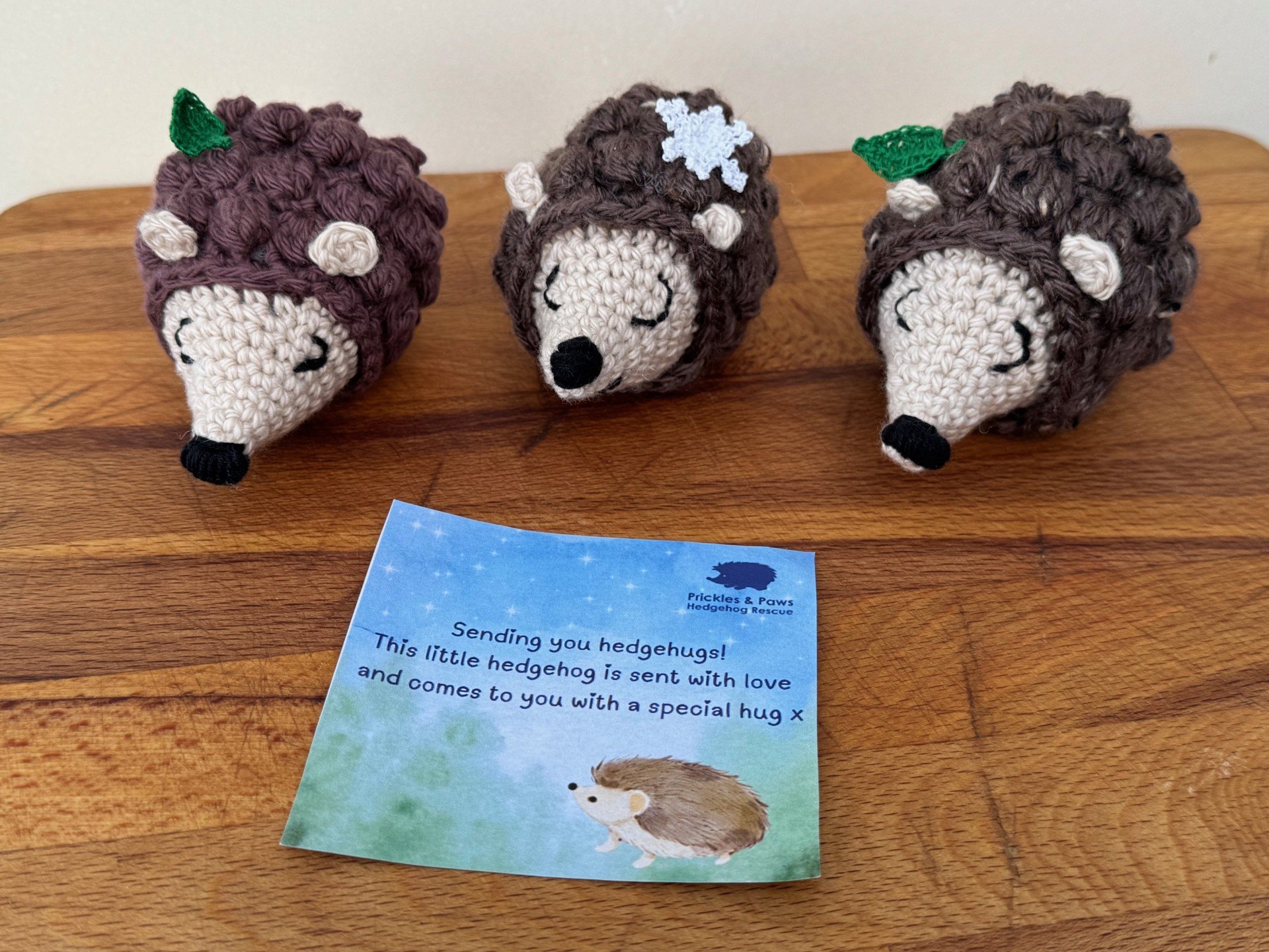 Crochet Hedgehogs – Handmade & One-of-a-Kind