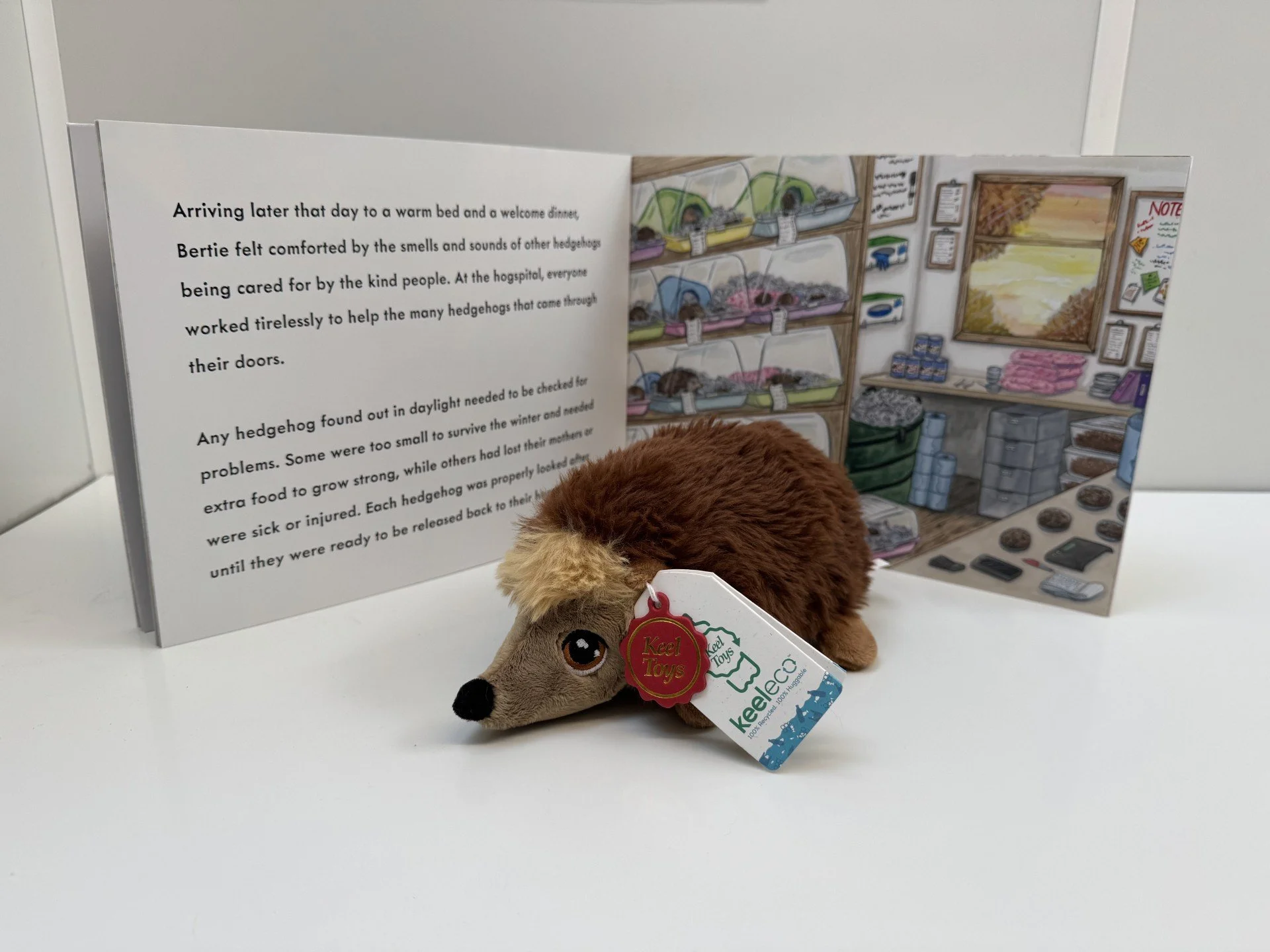 Bertie book open pages.jpg