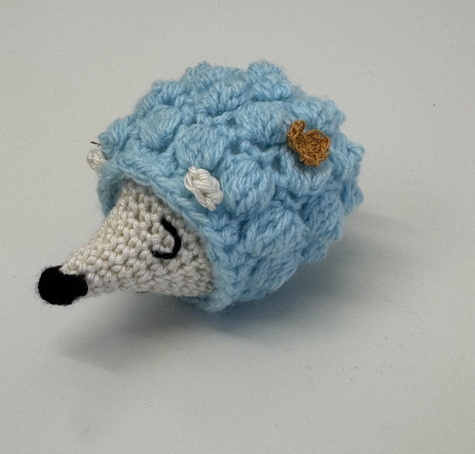 Crochet hog turquoise.jpg