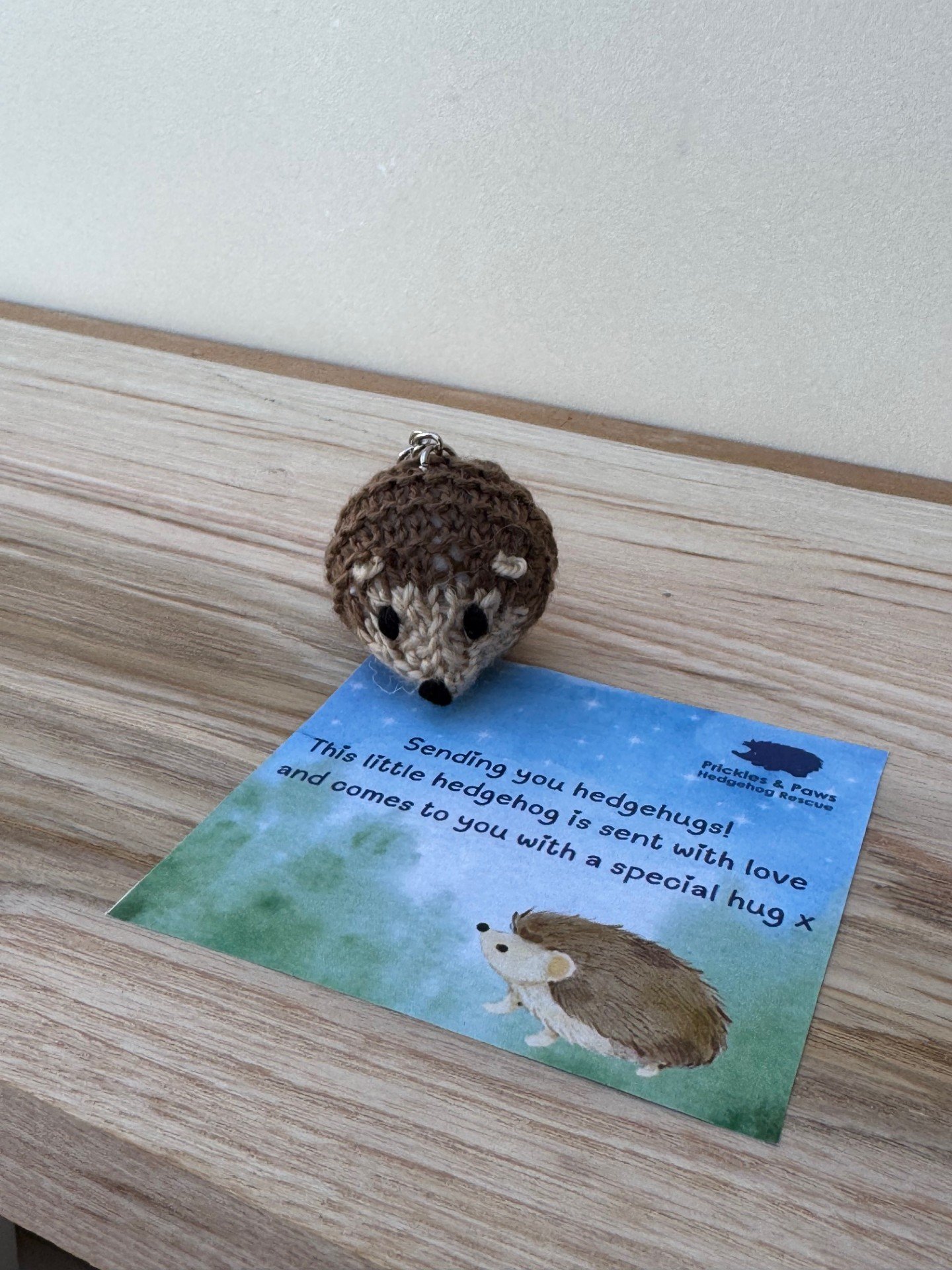 Hedgehug Keyring - A Tiny Hug to Carry