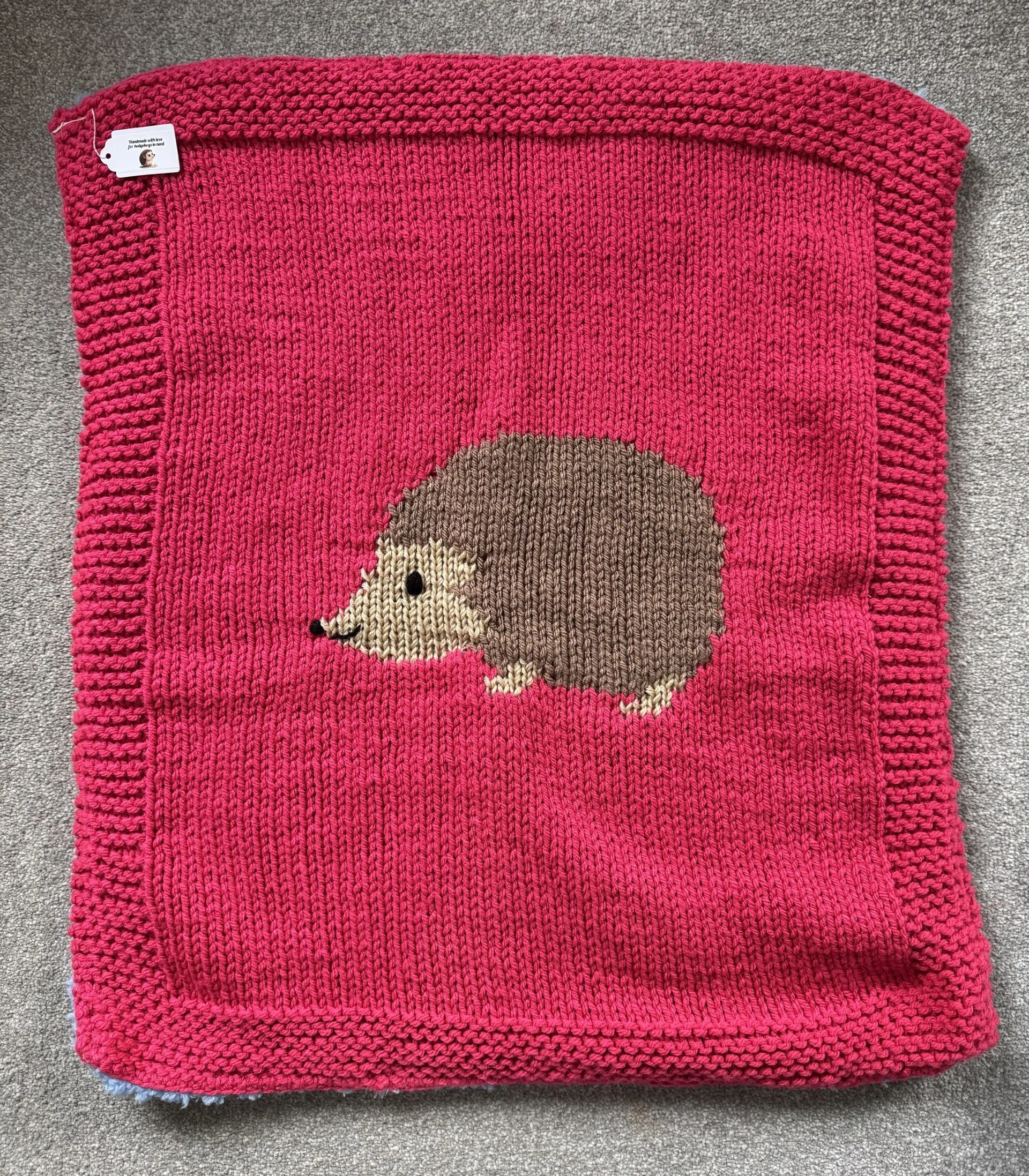 Pink Blanket 1.jpg