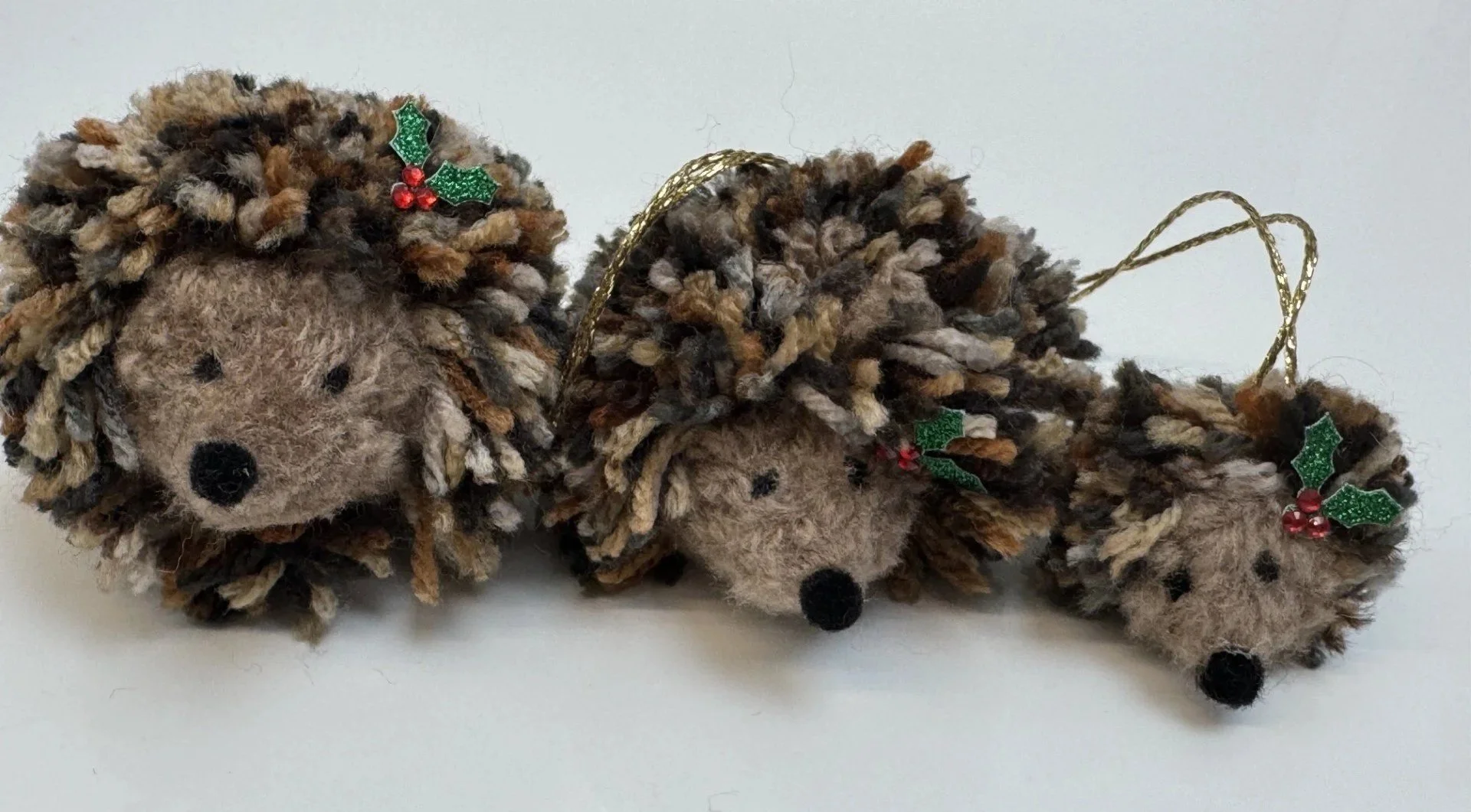 Pom+poms.jpg