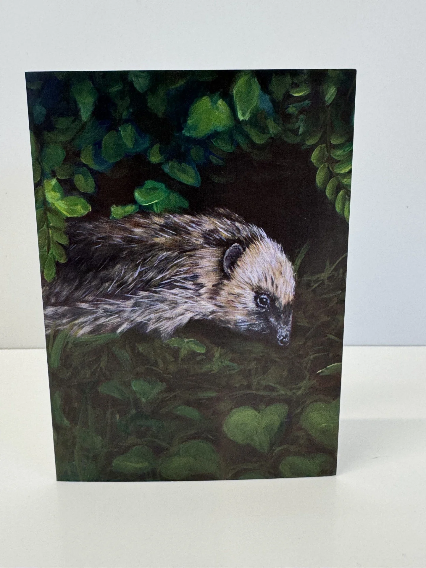 Abigail Cooper Hedgehog Greeting Card
